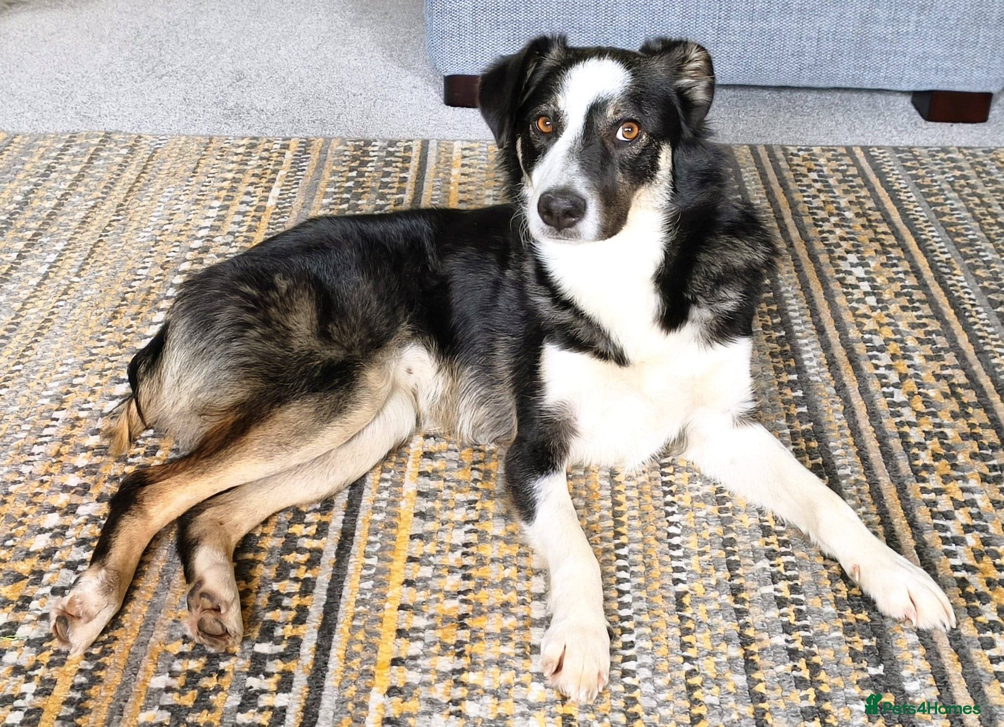 MAXπ Let Down But Still Loving photo 3