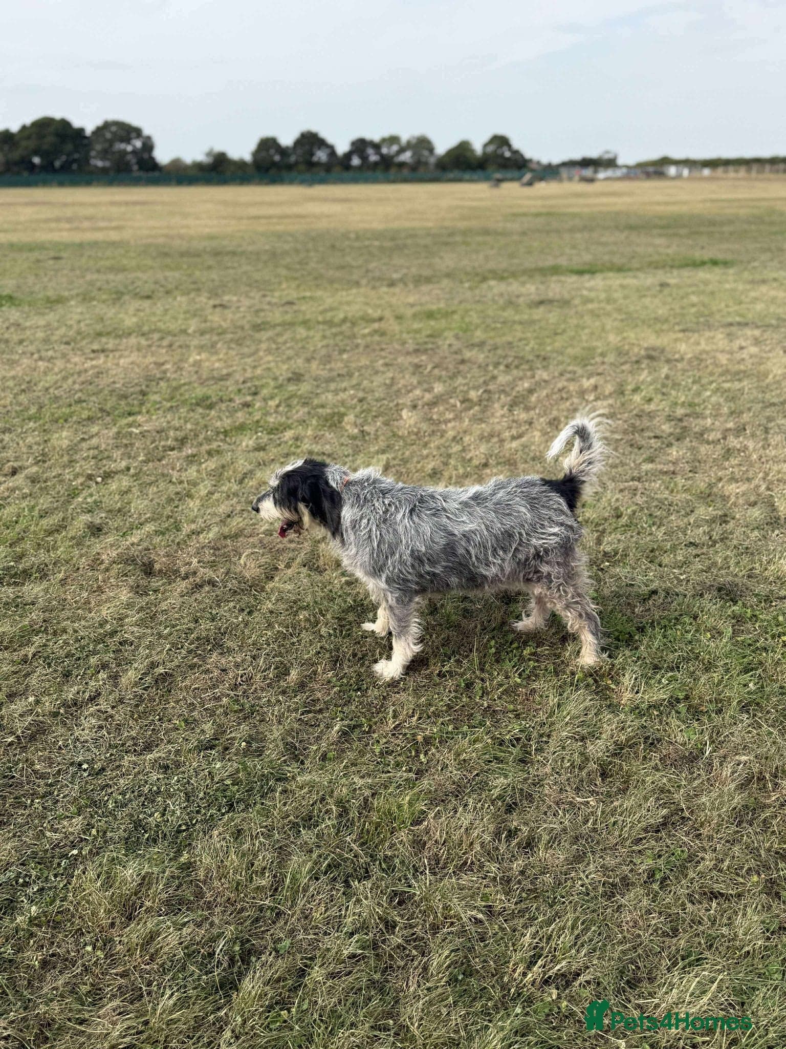 Lovely Ember - photo 4