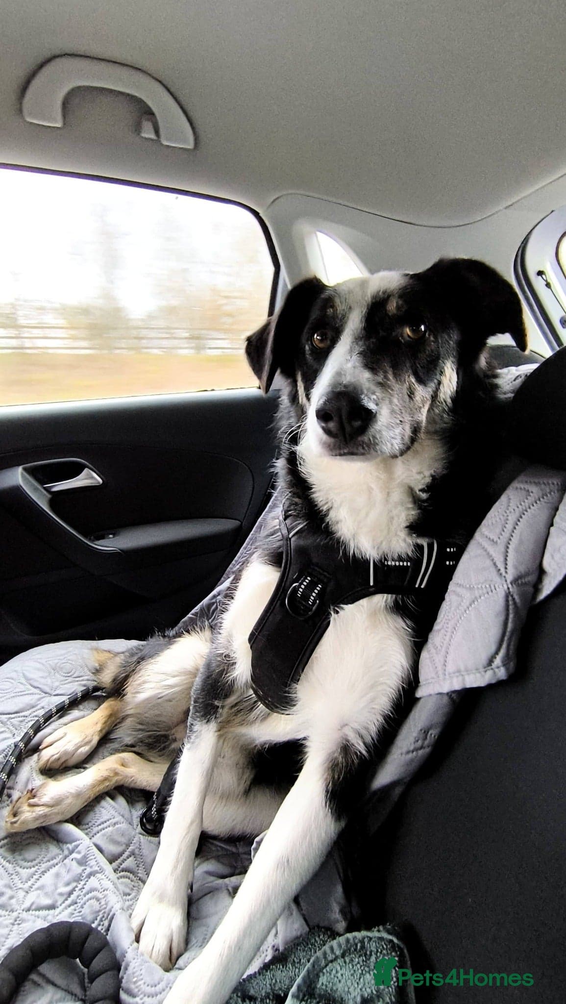 MAXπ Let Down But Still Loving photo 13