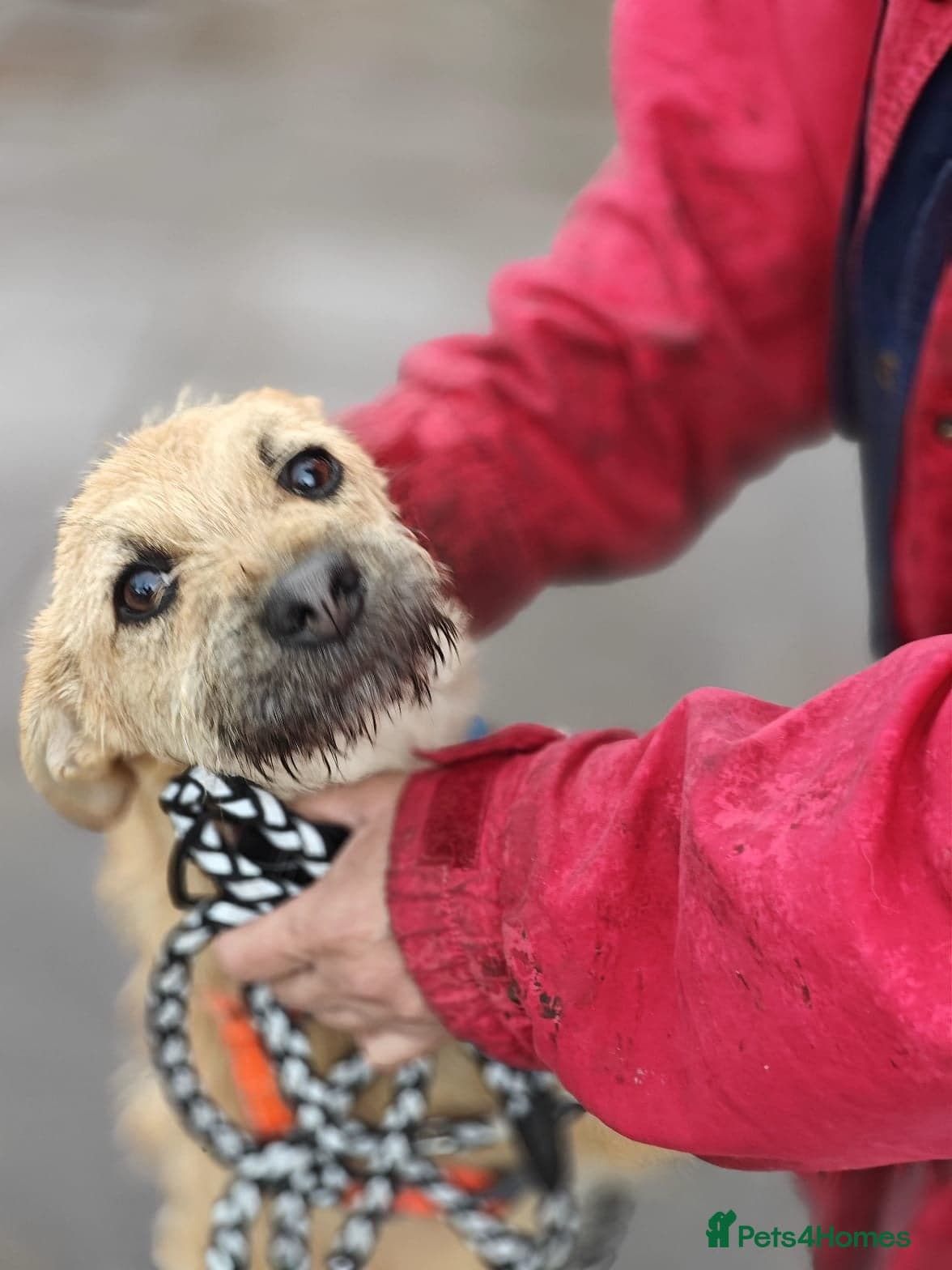 οΈπΆ bekki photo 4