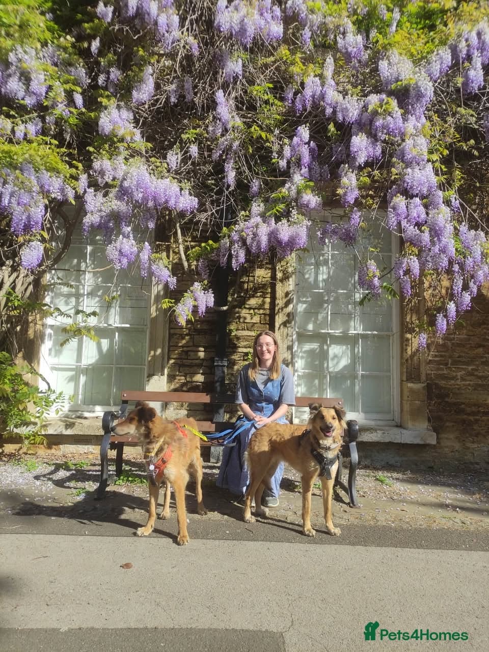 Coffee & robyn photo 4