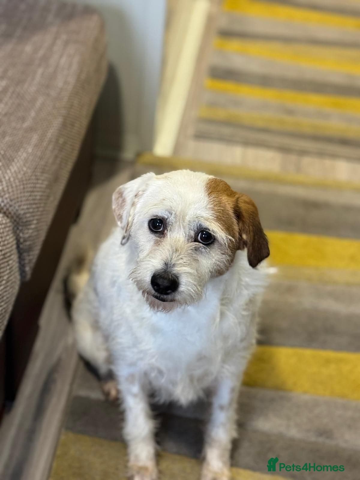 Cute girl Pepsi photo 17