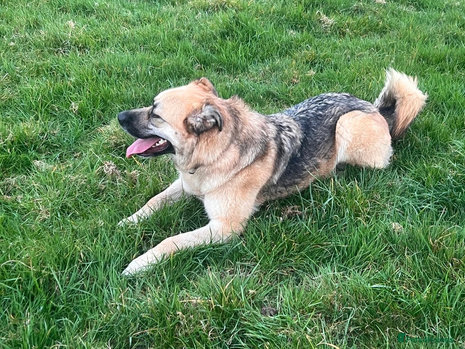 Molly 3.5 years friendly girl photo 7