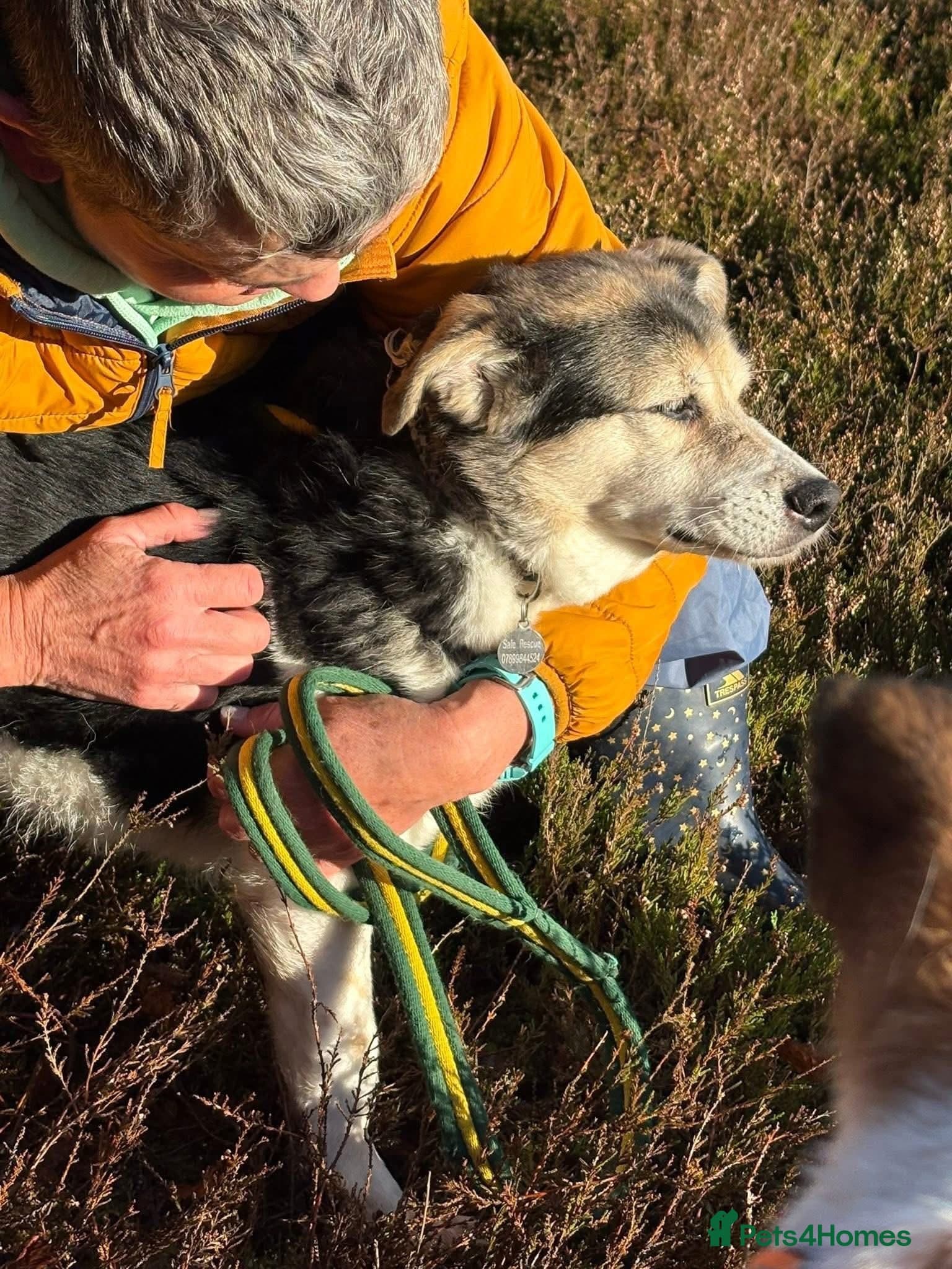 Tara - Norwich Norfolk photo 5