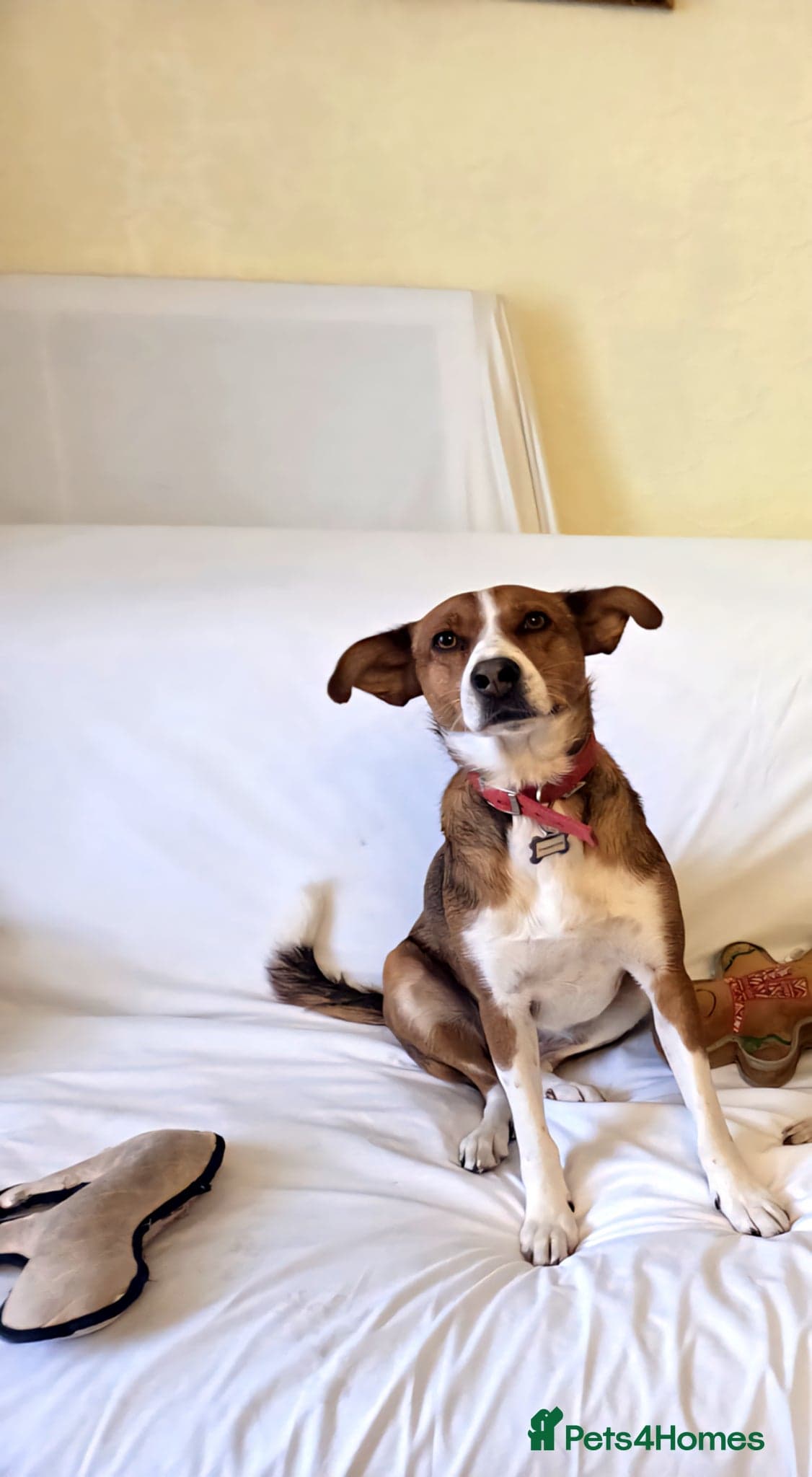 Affectionate Milli photo 5