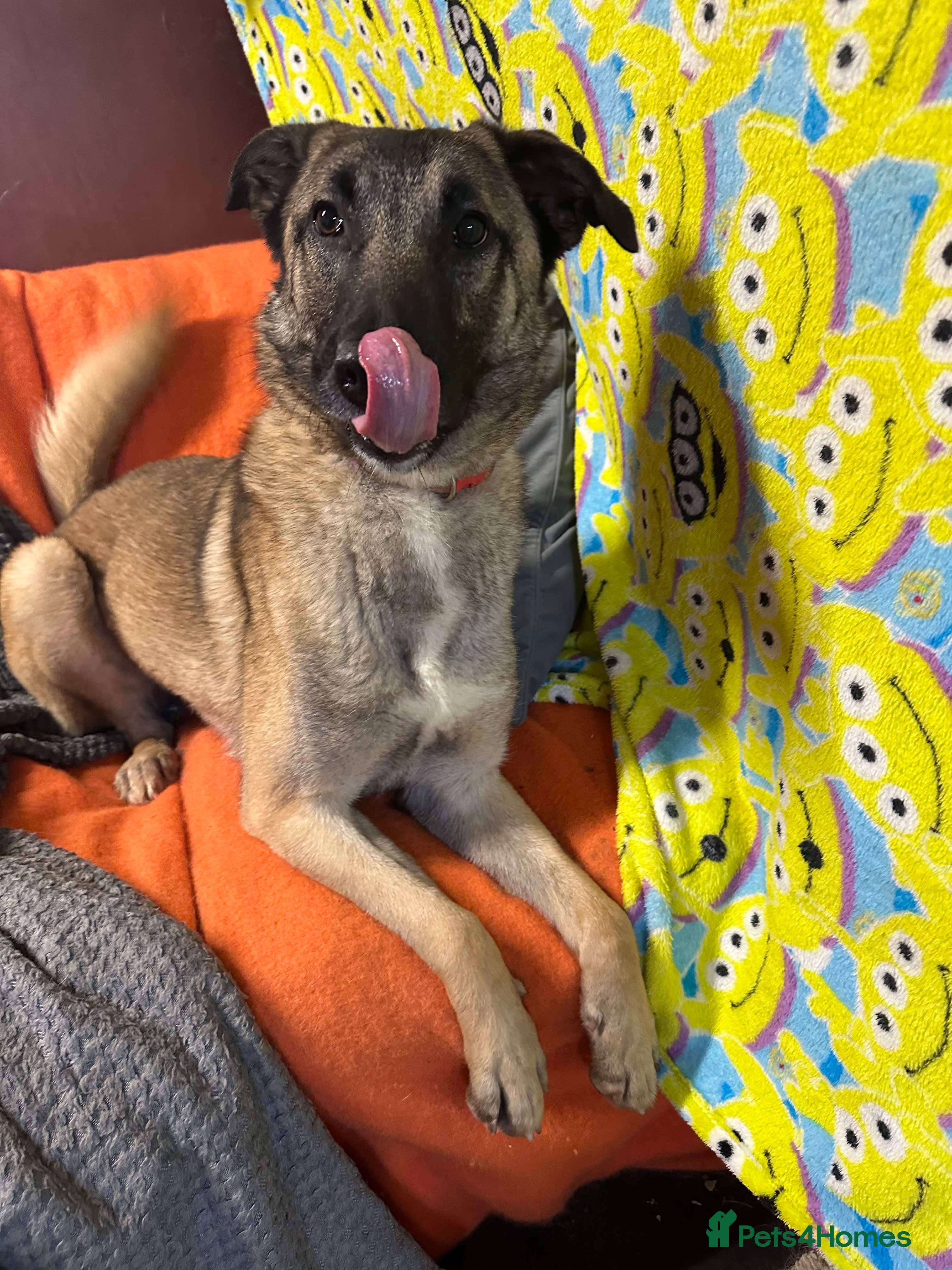 Meet Vera, currently residing in Cheshire photo 20