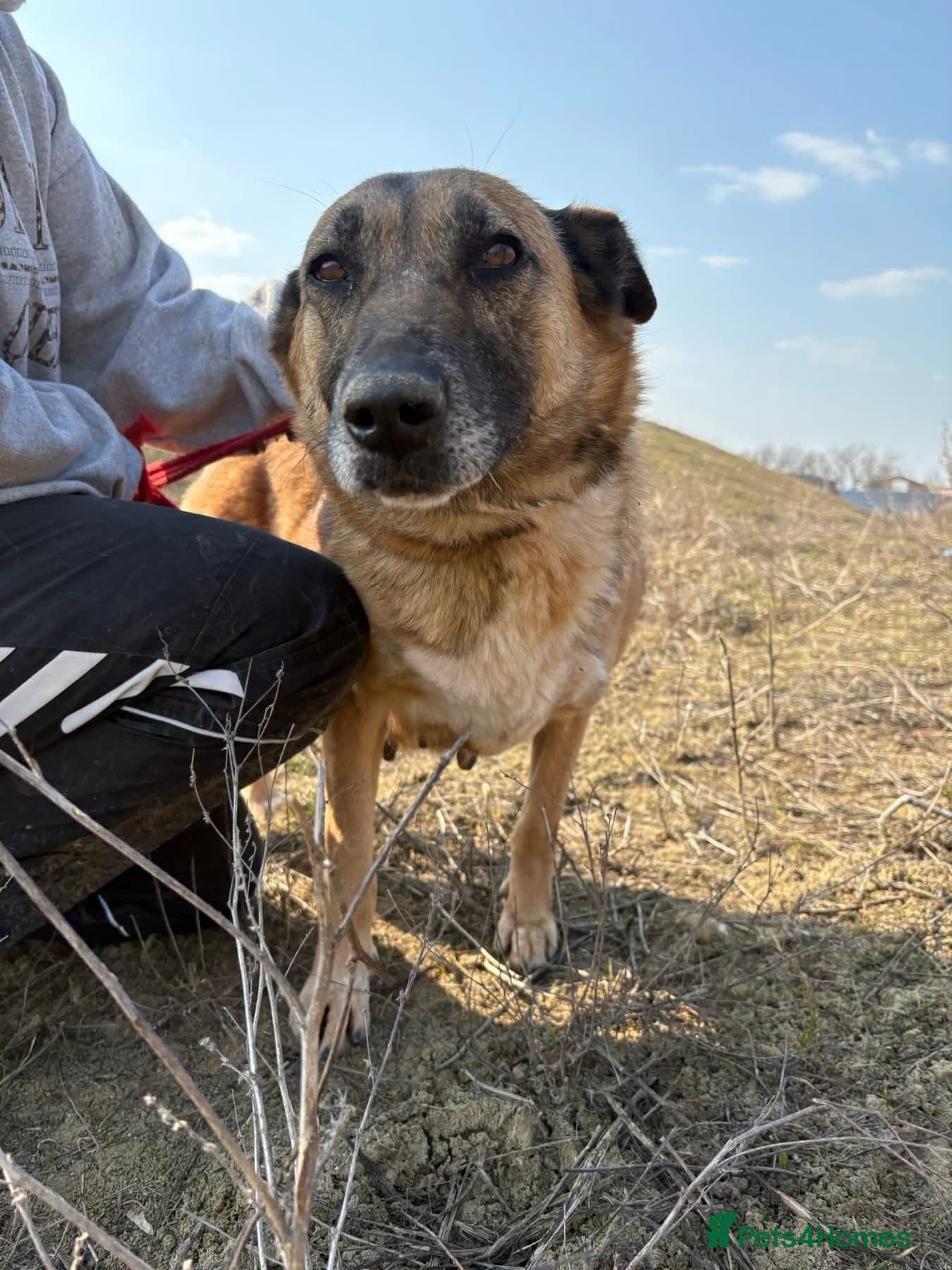 Thelma - Norwich Norfolk photo 9