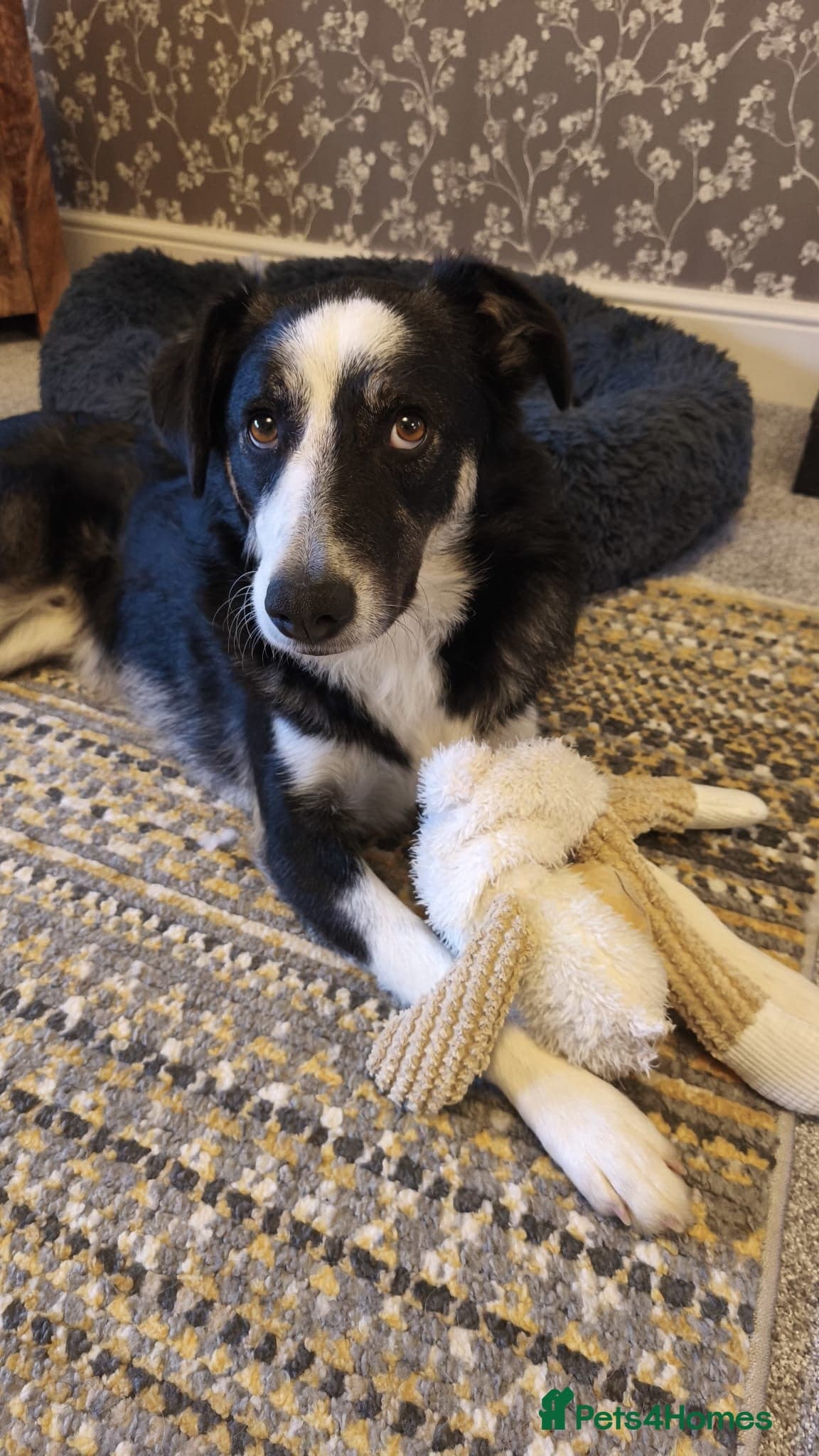 MAXπ Let Down But Still Loving photo 6