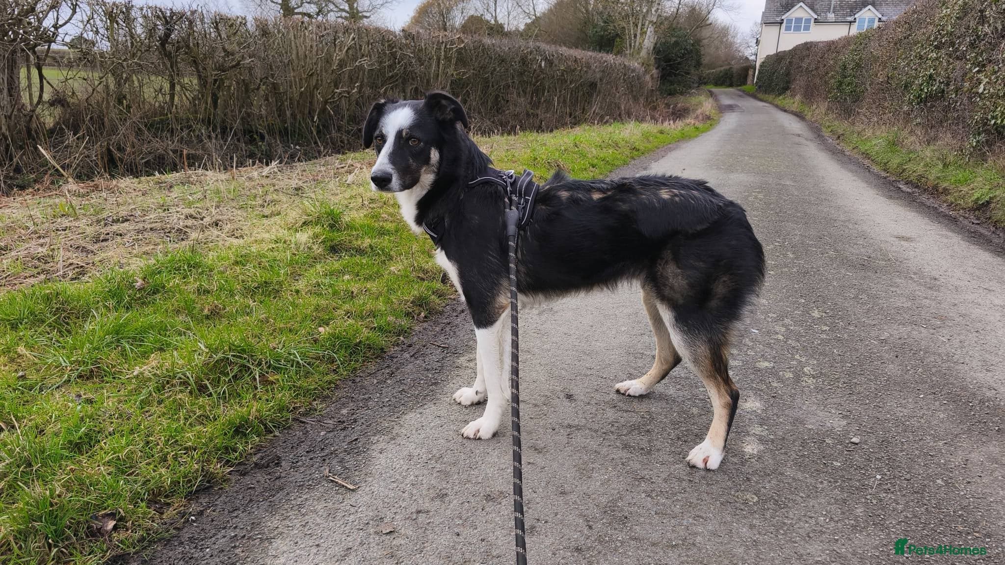 MAXπ Let Down But Still Loving photo 10