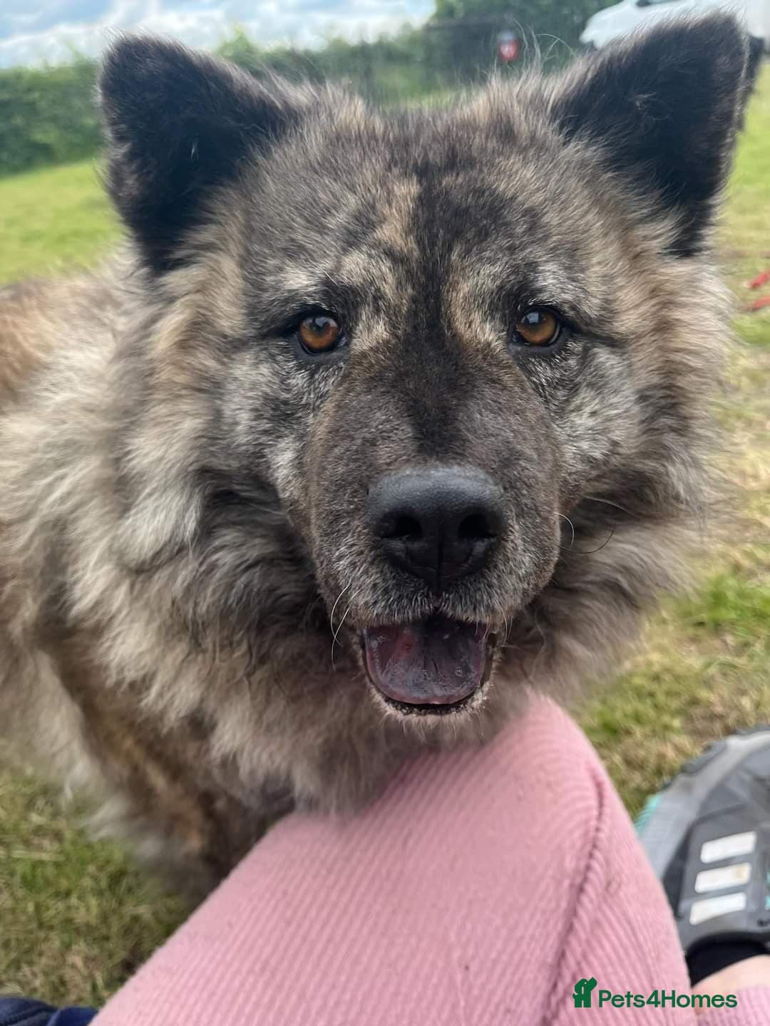 Luna Chow π photo 2