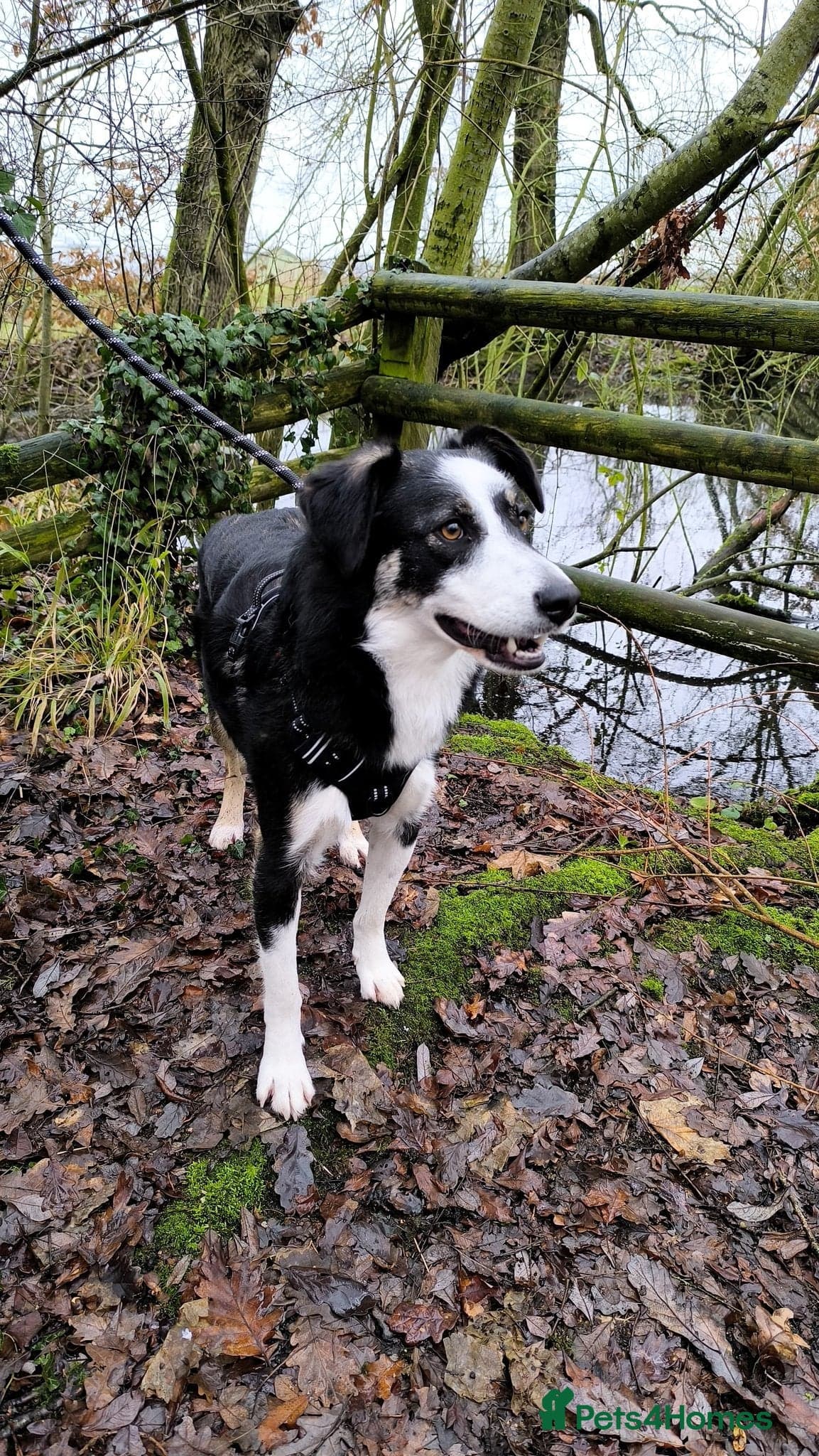 MAXπ Let Down But Still Loving photo 7