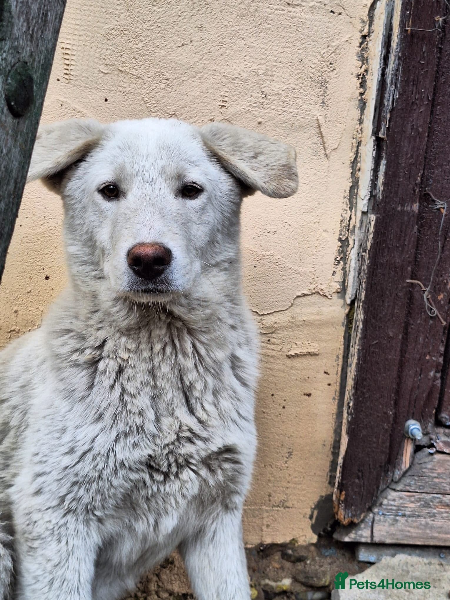 Meet AKY ! A Lovely Boy photo 2