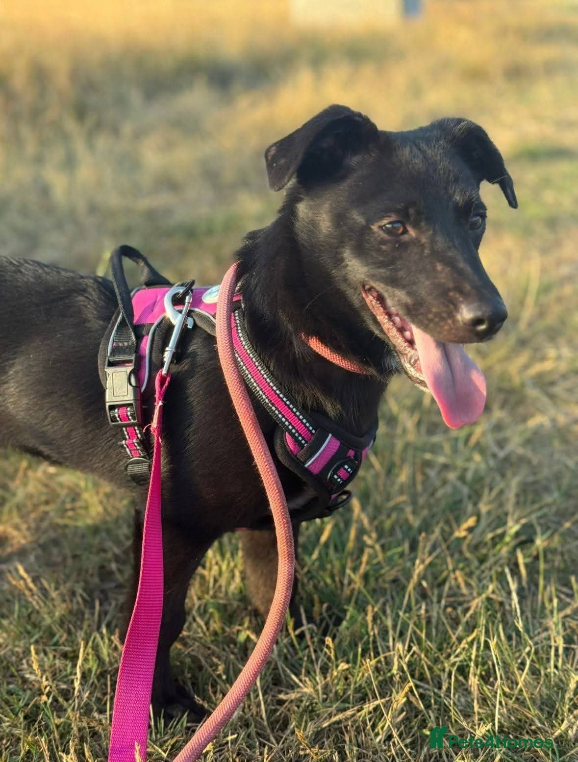 Meet Raegan, currently residing in Surrey photo 5