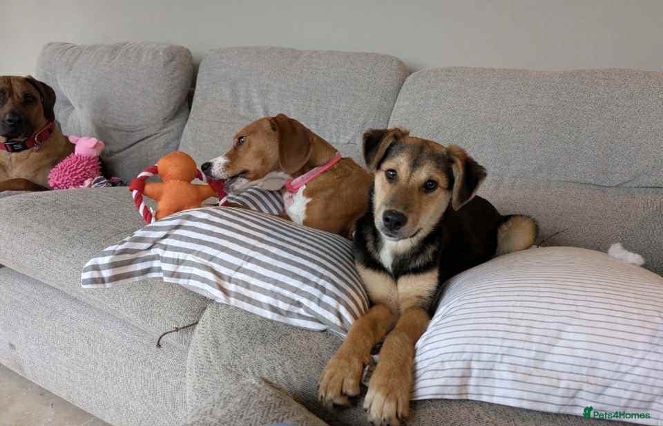 Mikka says “is it me you’re photo 3