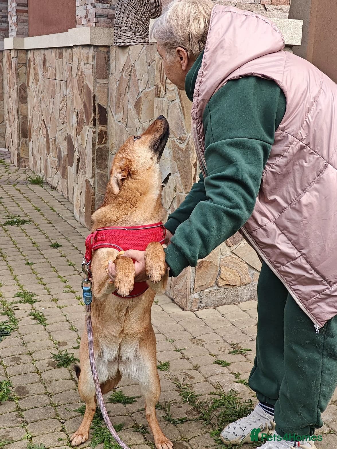 ๏ธ๐ถ yara photo 18