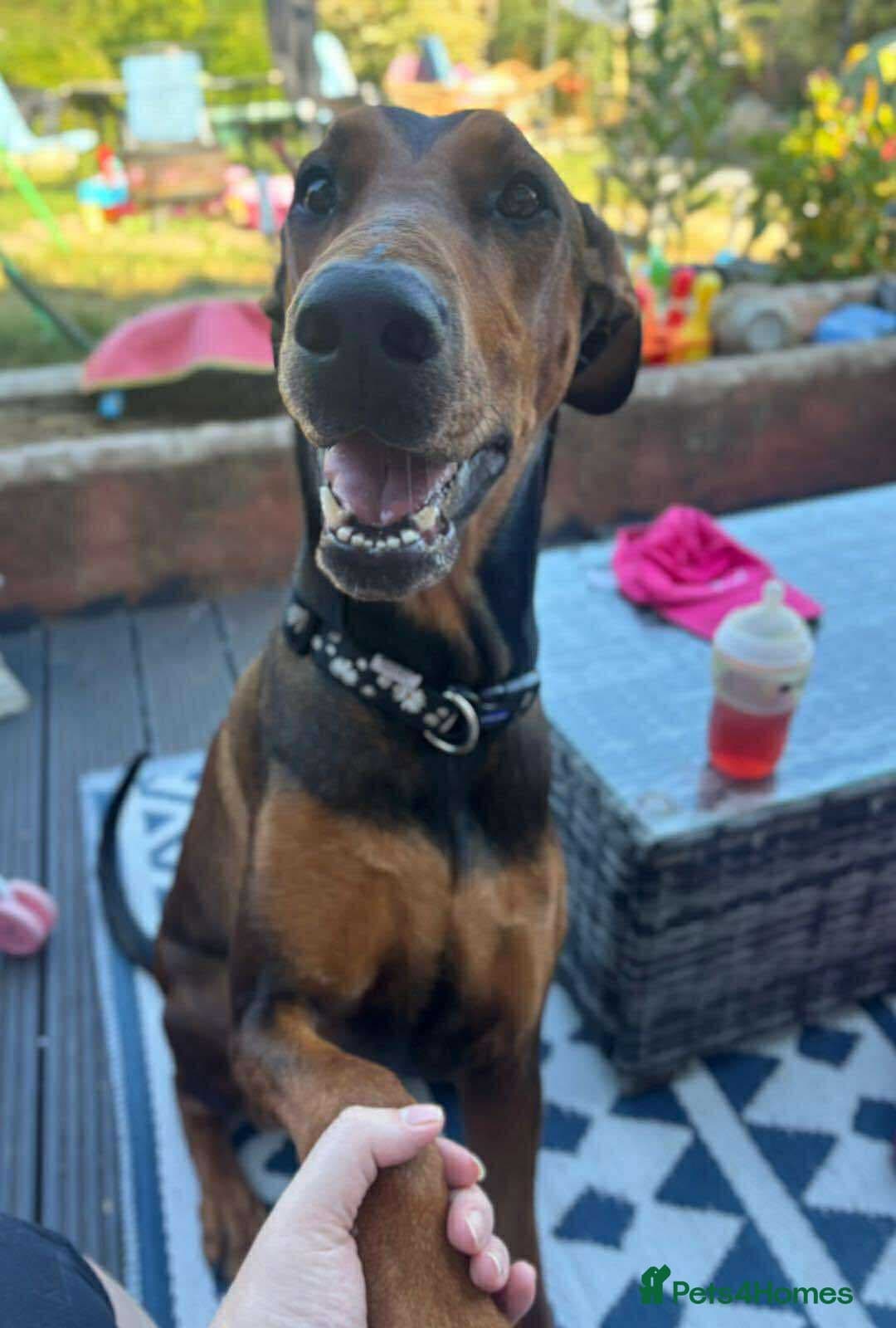 BONNIE π Playful, Loving Girl photo 4