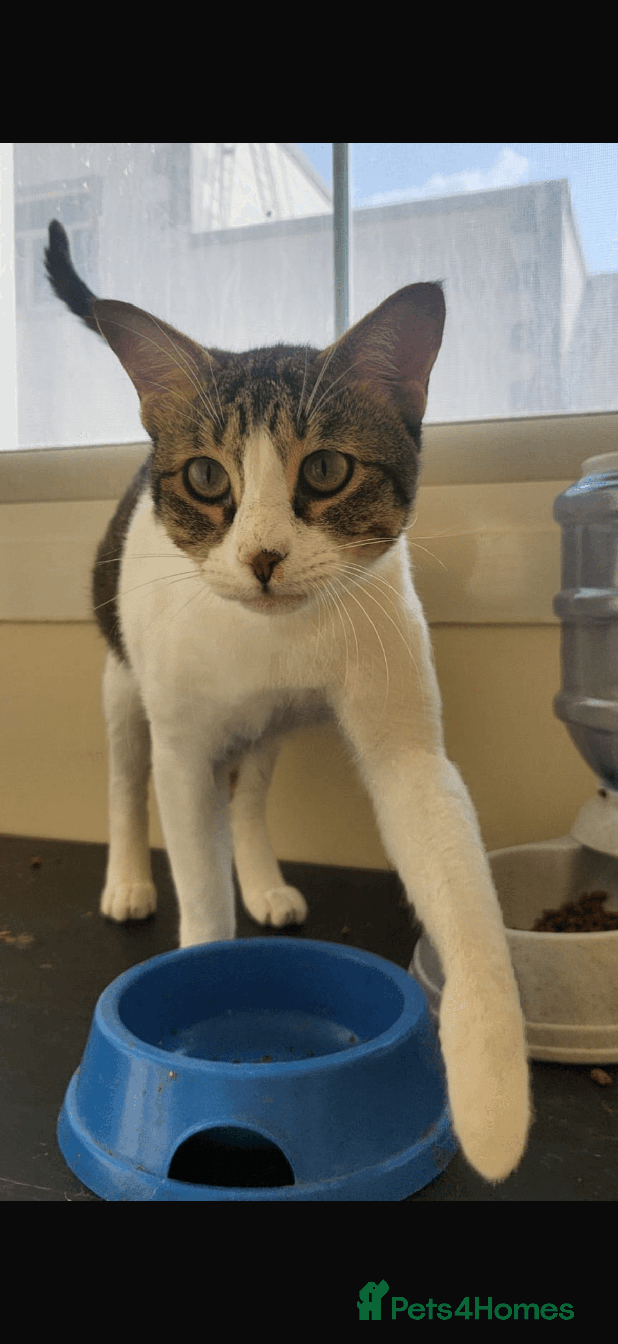 Bubby & Timmy photo 3