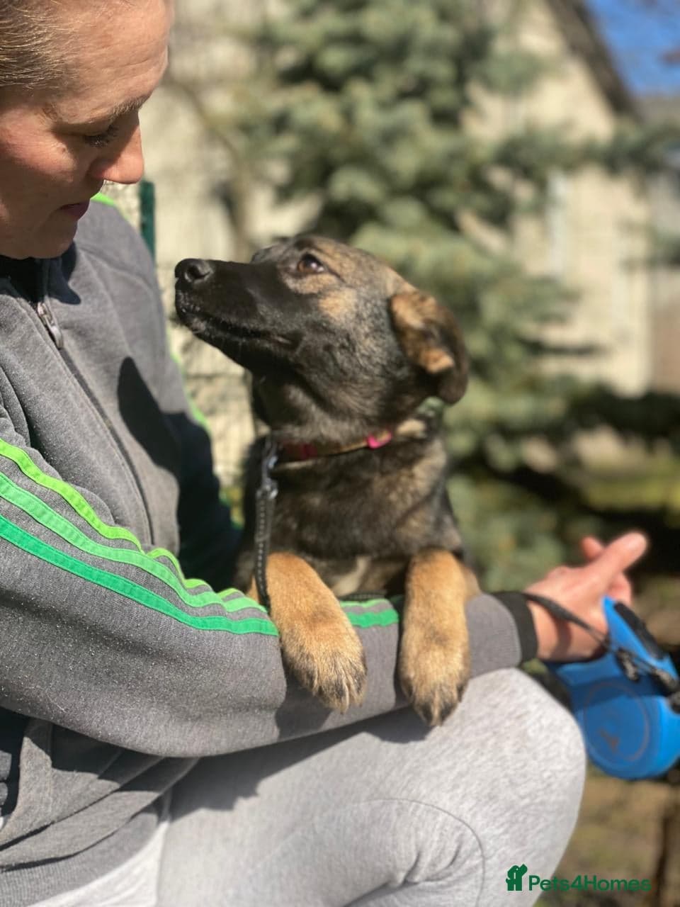 οΈπΆ kuba photo 7