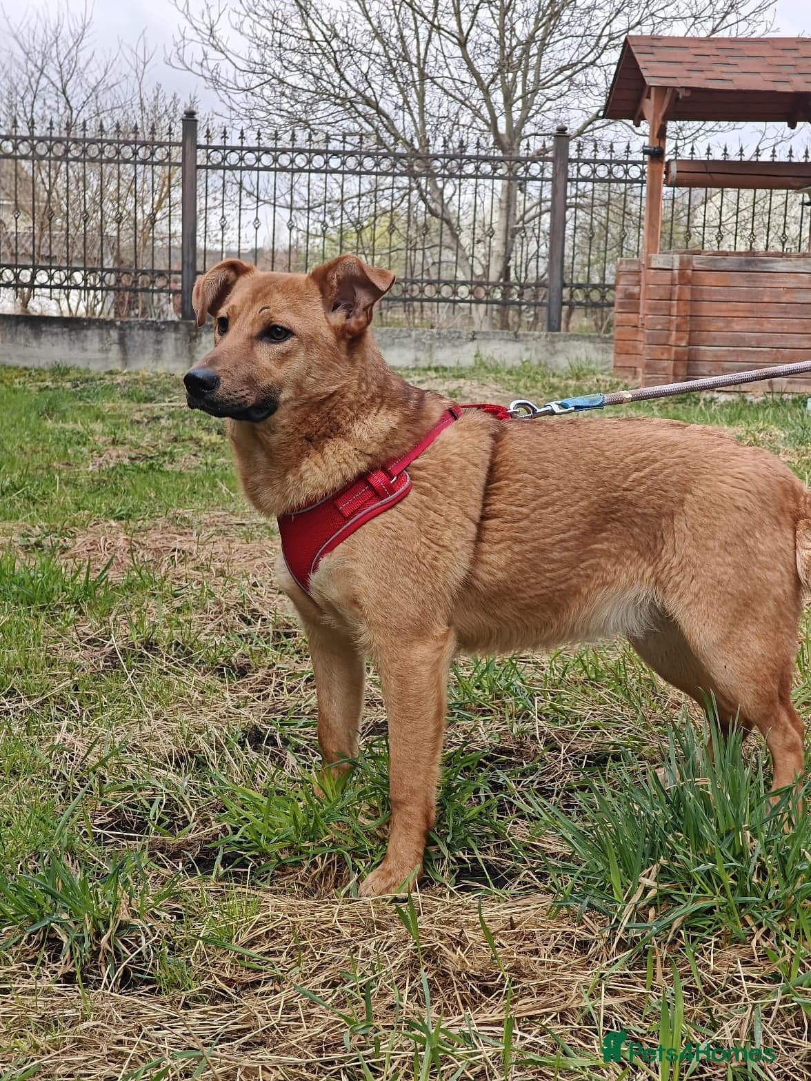 ๏ธ๐ถ yara photo 8