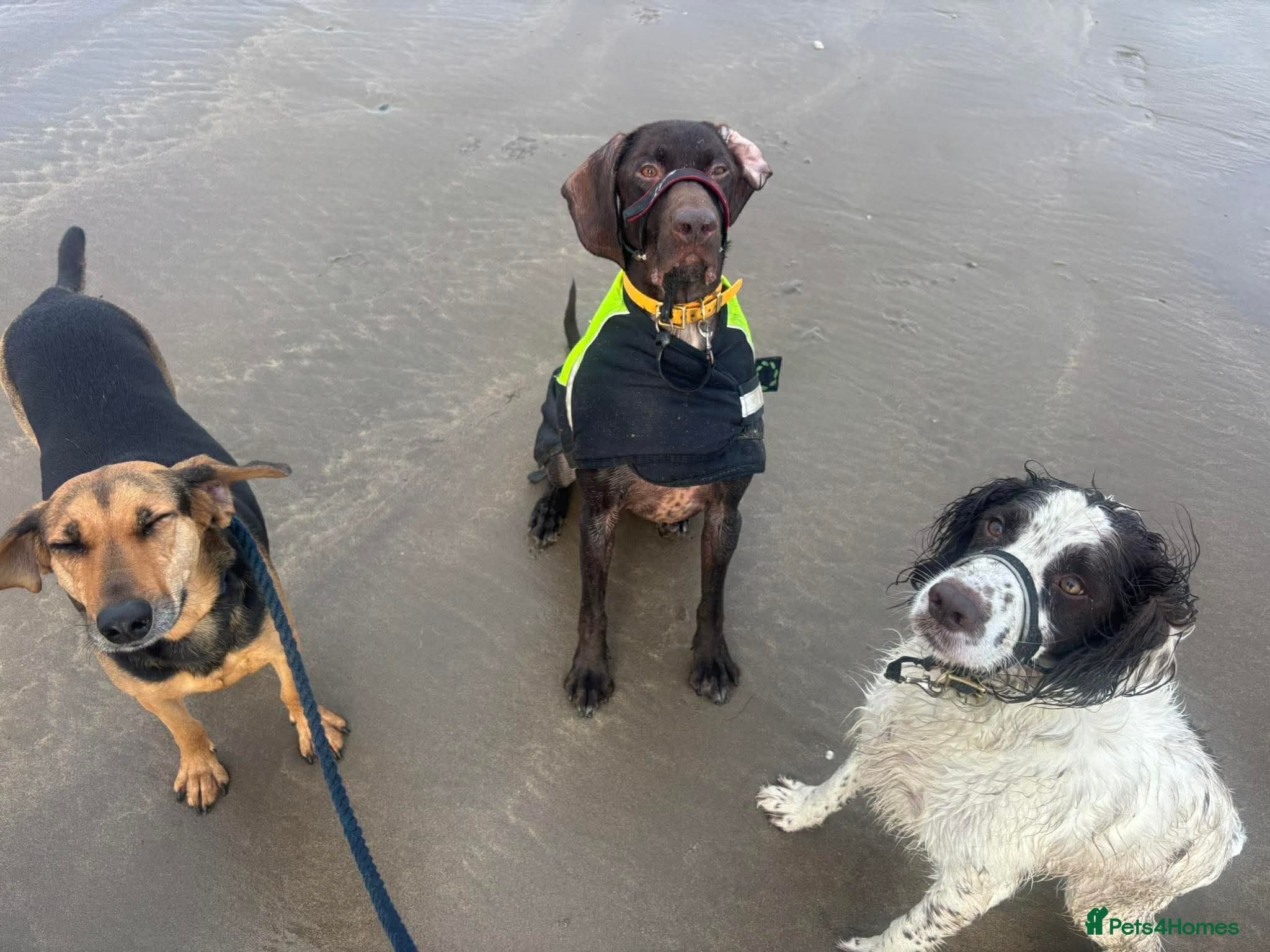 ️ meet wilson photo 5