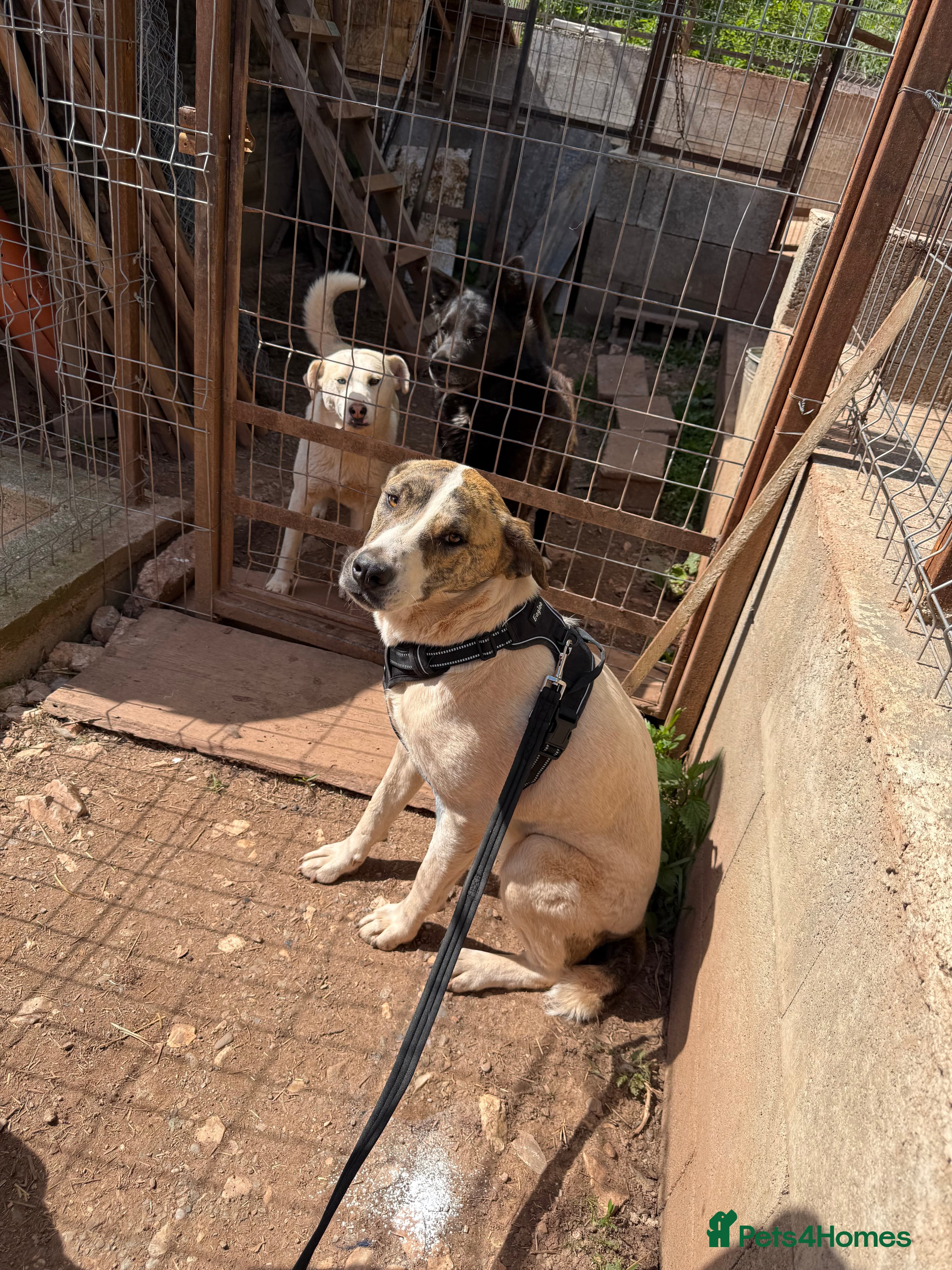 Jasmine π©· photo 3