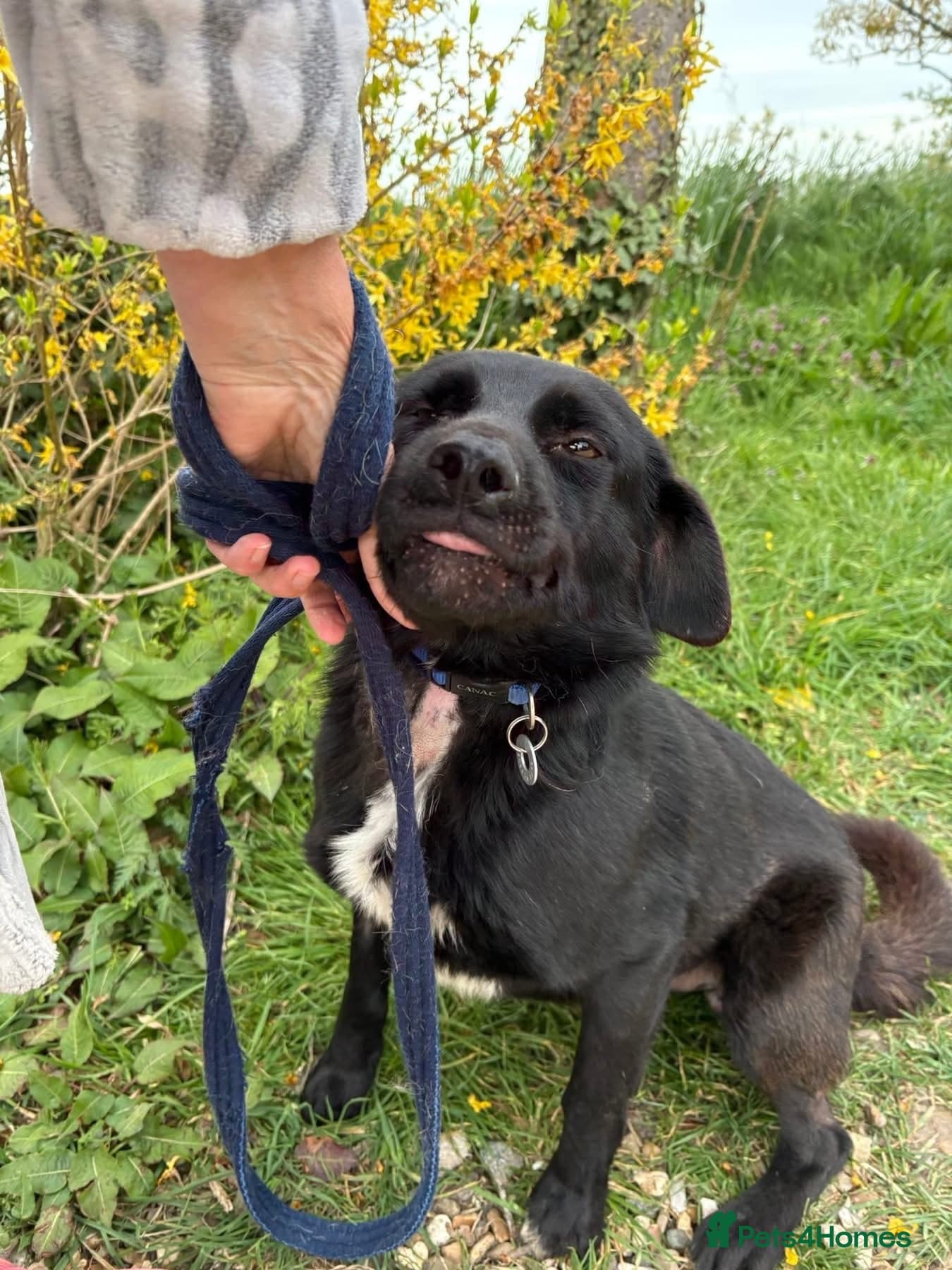 Callum - Norwich Norfolk photo 6