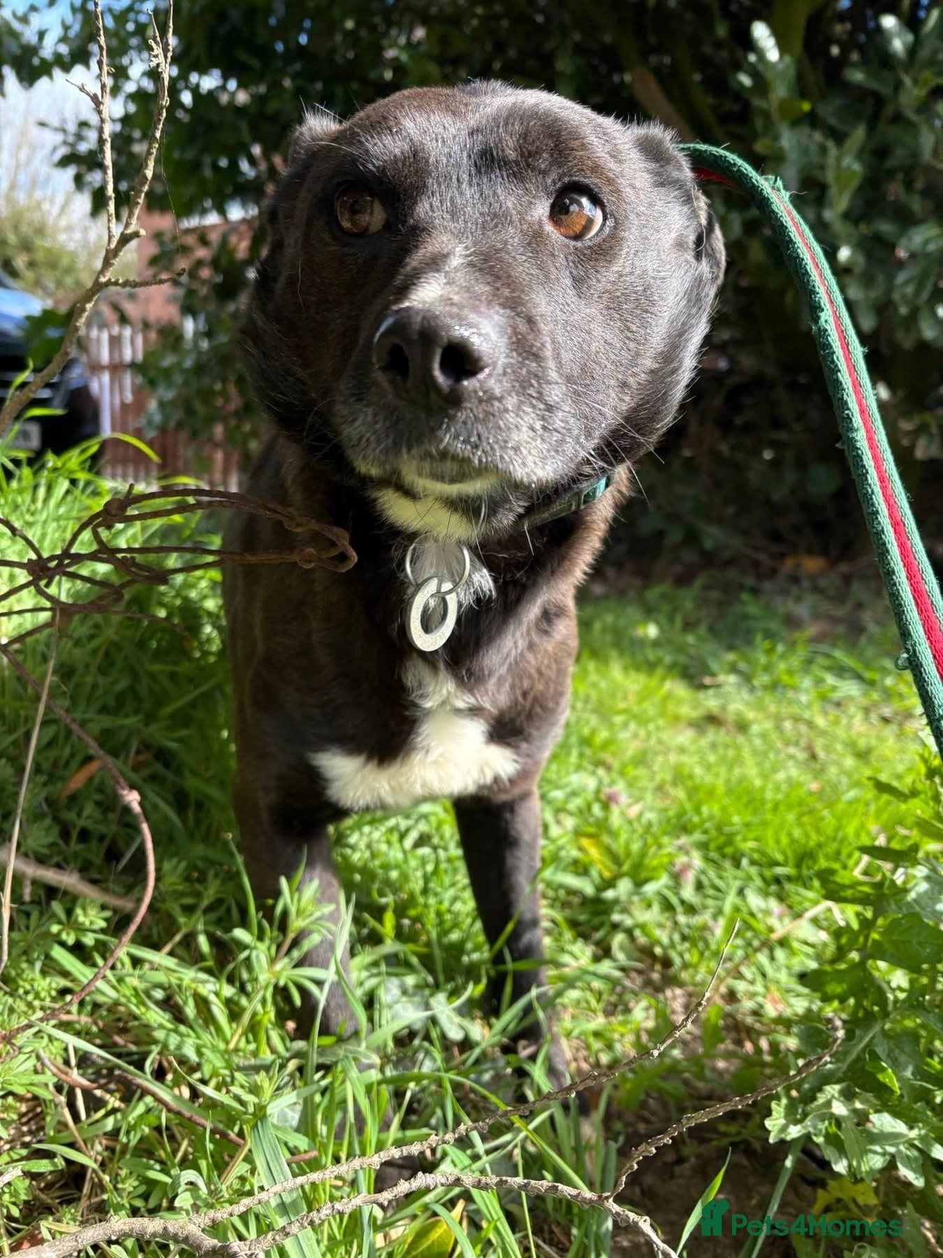 Penfold - Norwich Norfolk photo 3