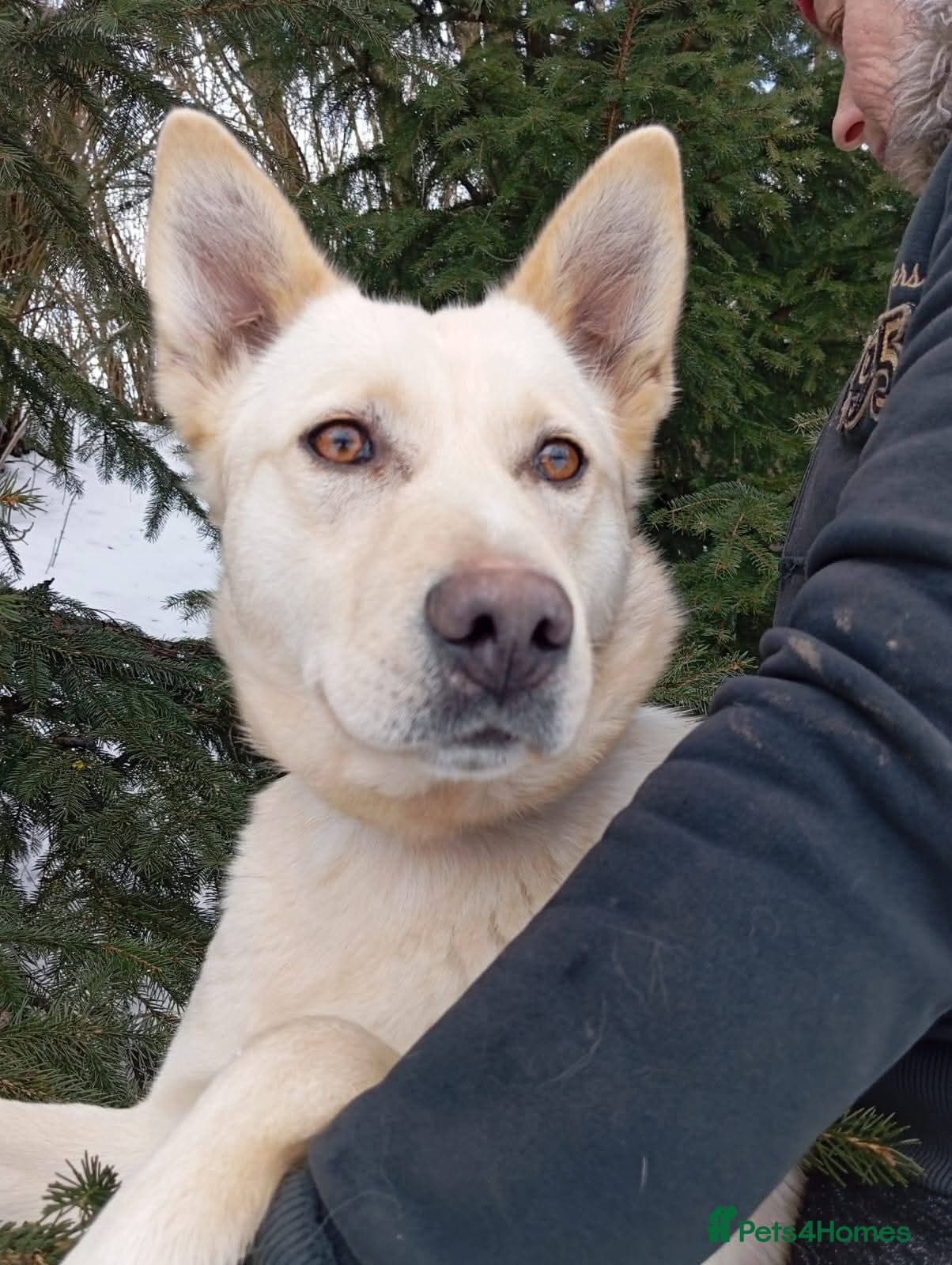 οΈπΆ milady photo 14