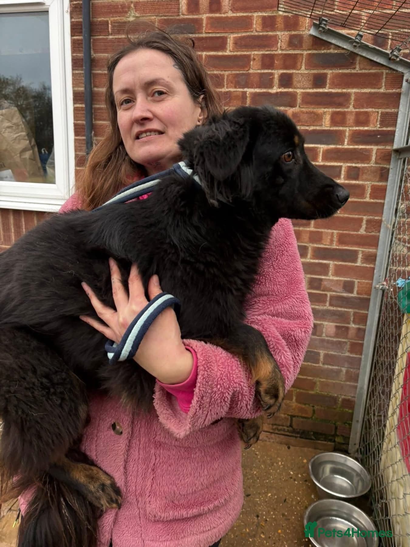 Newton - Norwich Norfolk photo 15