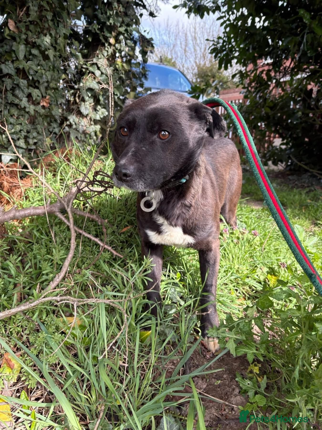 Penfold - Norwich Norfolk photo 7