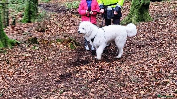 JOJO,URGENT🖤 Superb big Girl photo 9