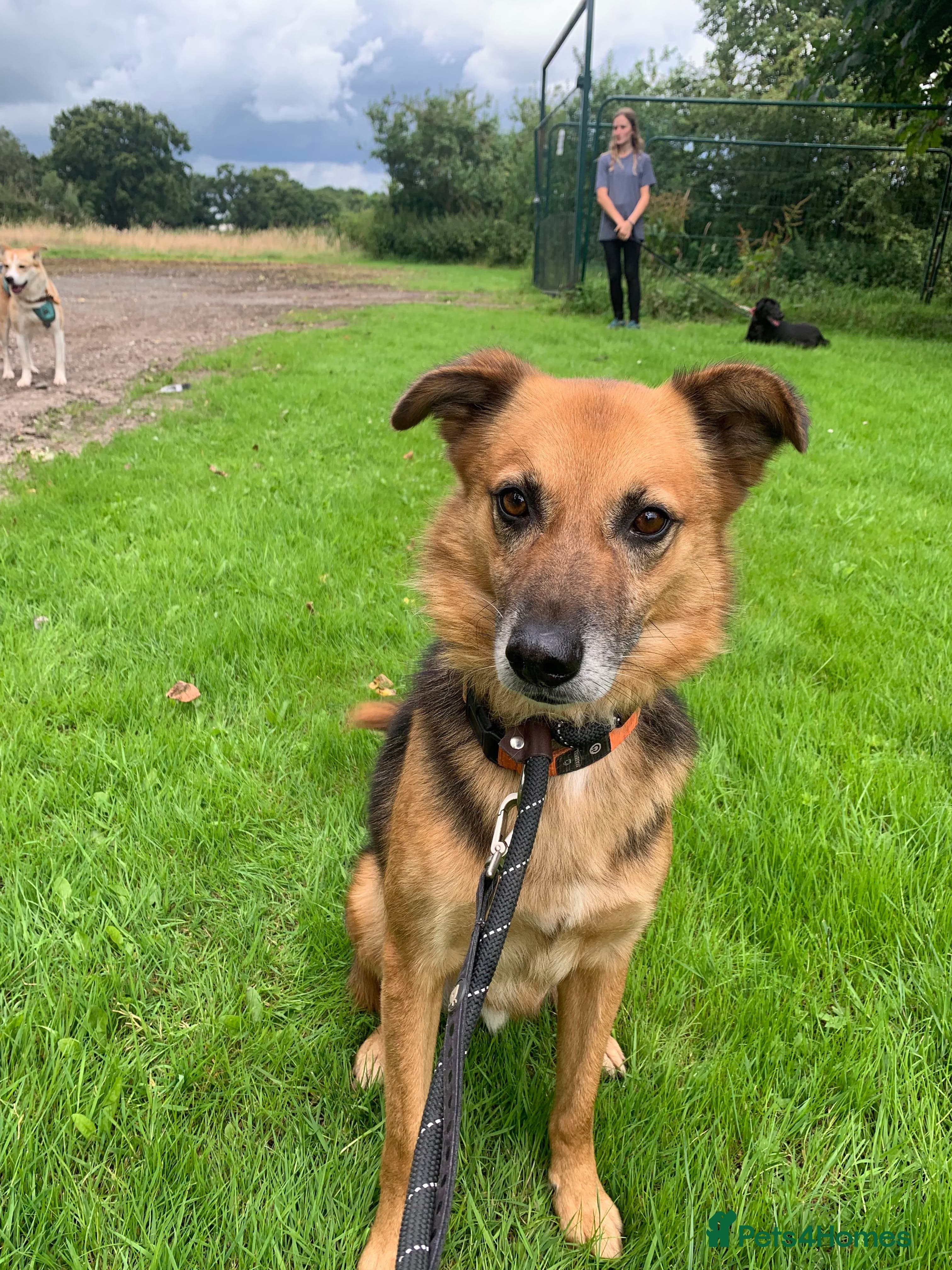 Meet Star, currently residing in Cheshire photo 11