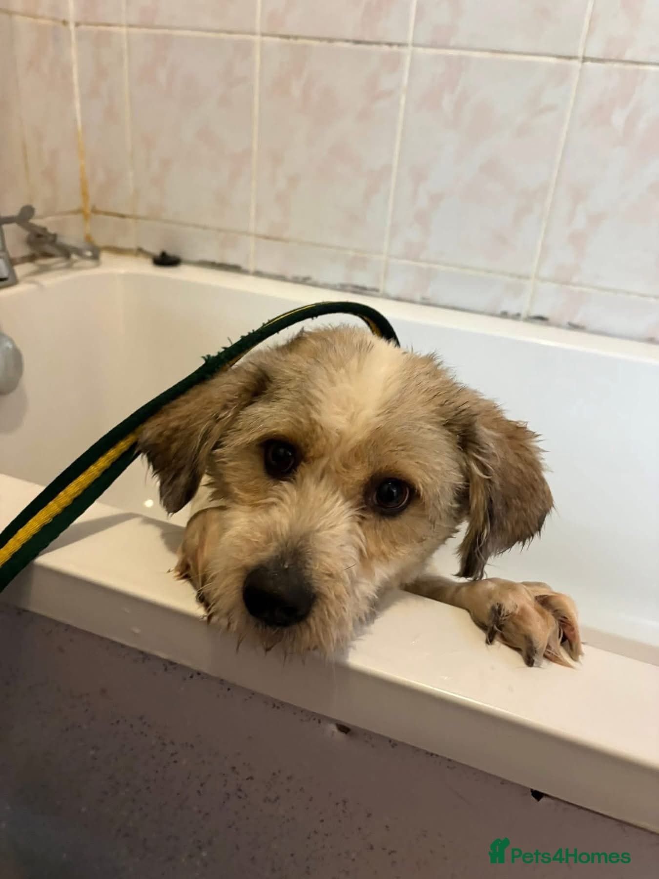 Kim - Norwich Norfolk photo 8