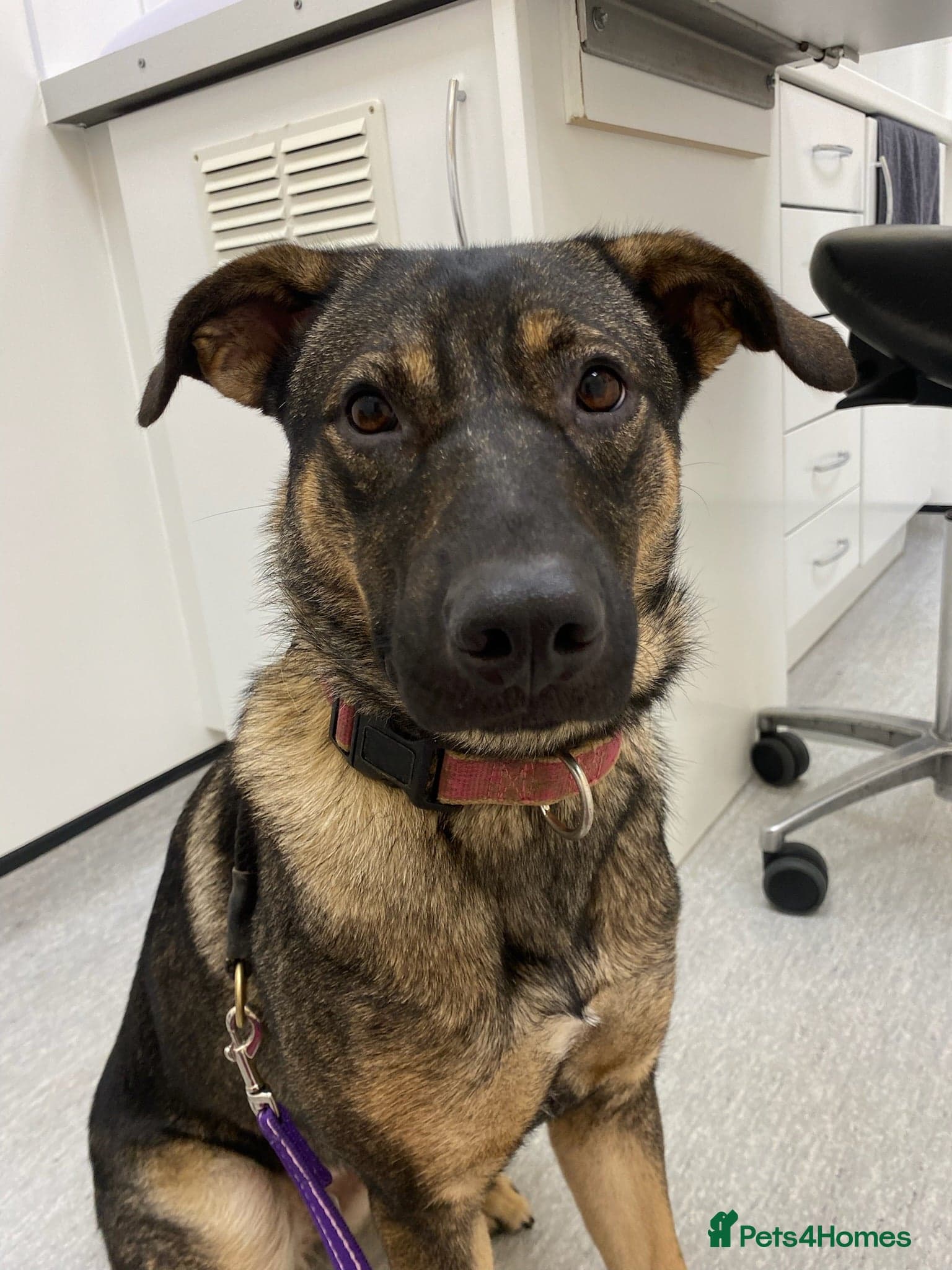 Luna πΎπ photo 12