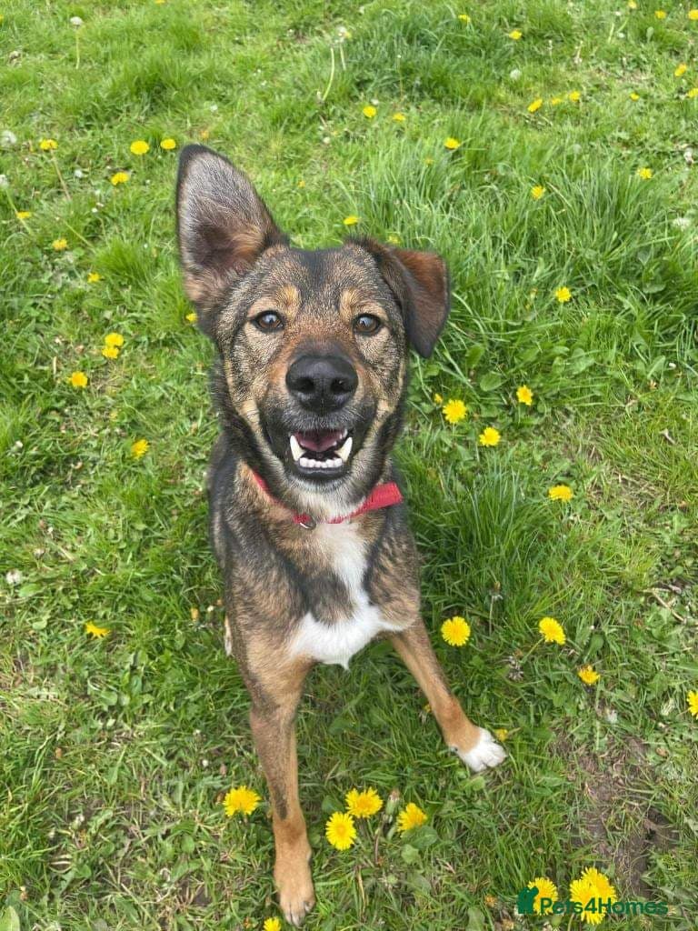 Meet Jake, currently residing in Cheshire photo 11