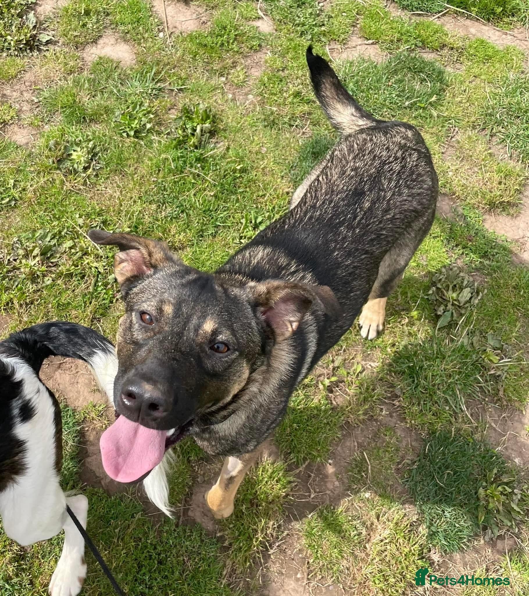 Luna πΎπ photo 15