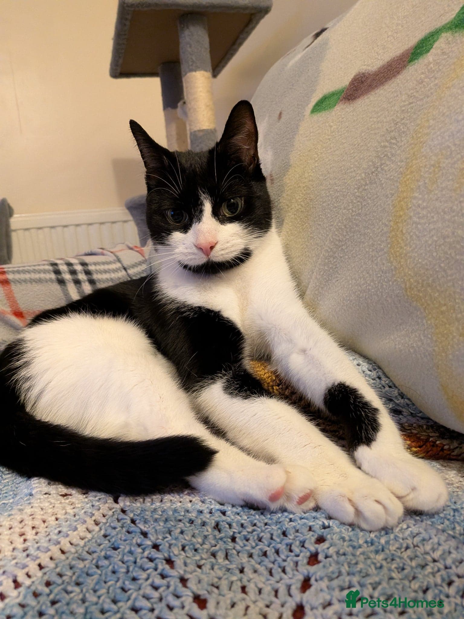 Rosie and Jim photo 6