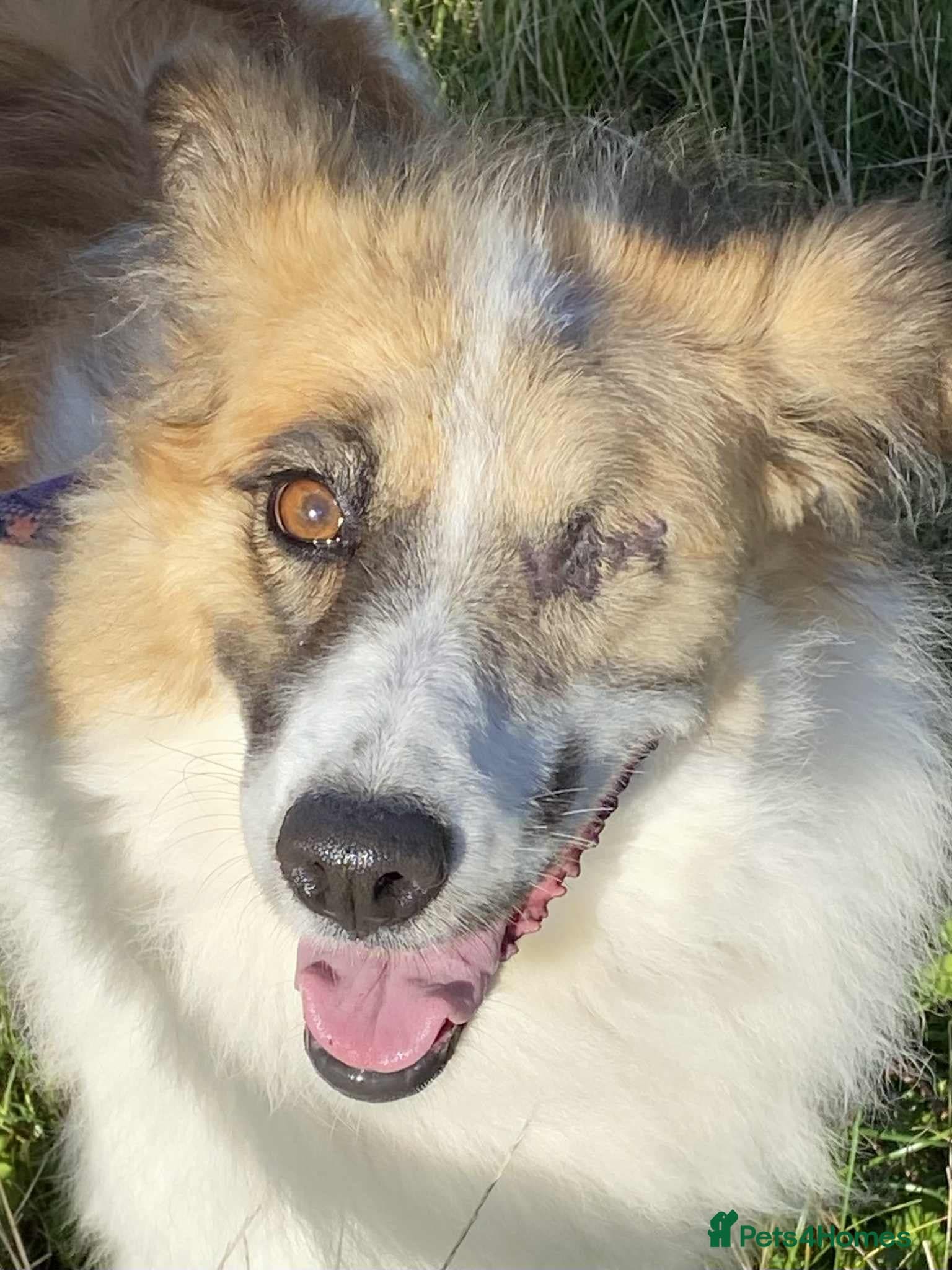 Jessie ❤️ photo 10