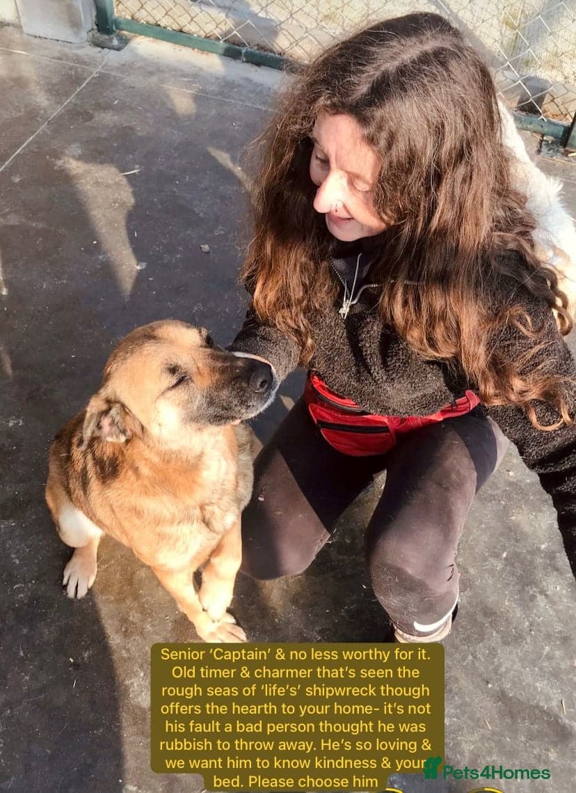 Captain, 10 yrs old. — Mixed Breed