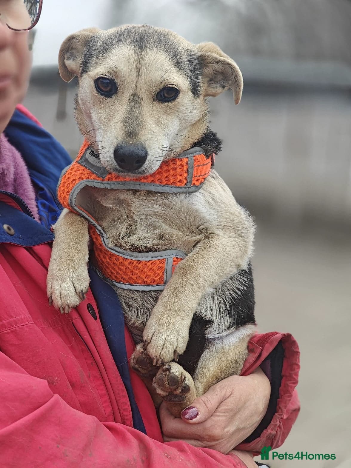 οΈπΆ maree photo 7