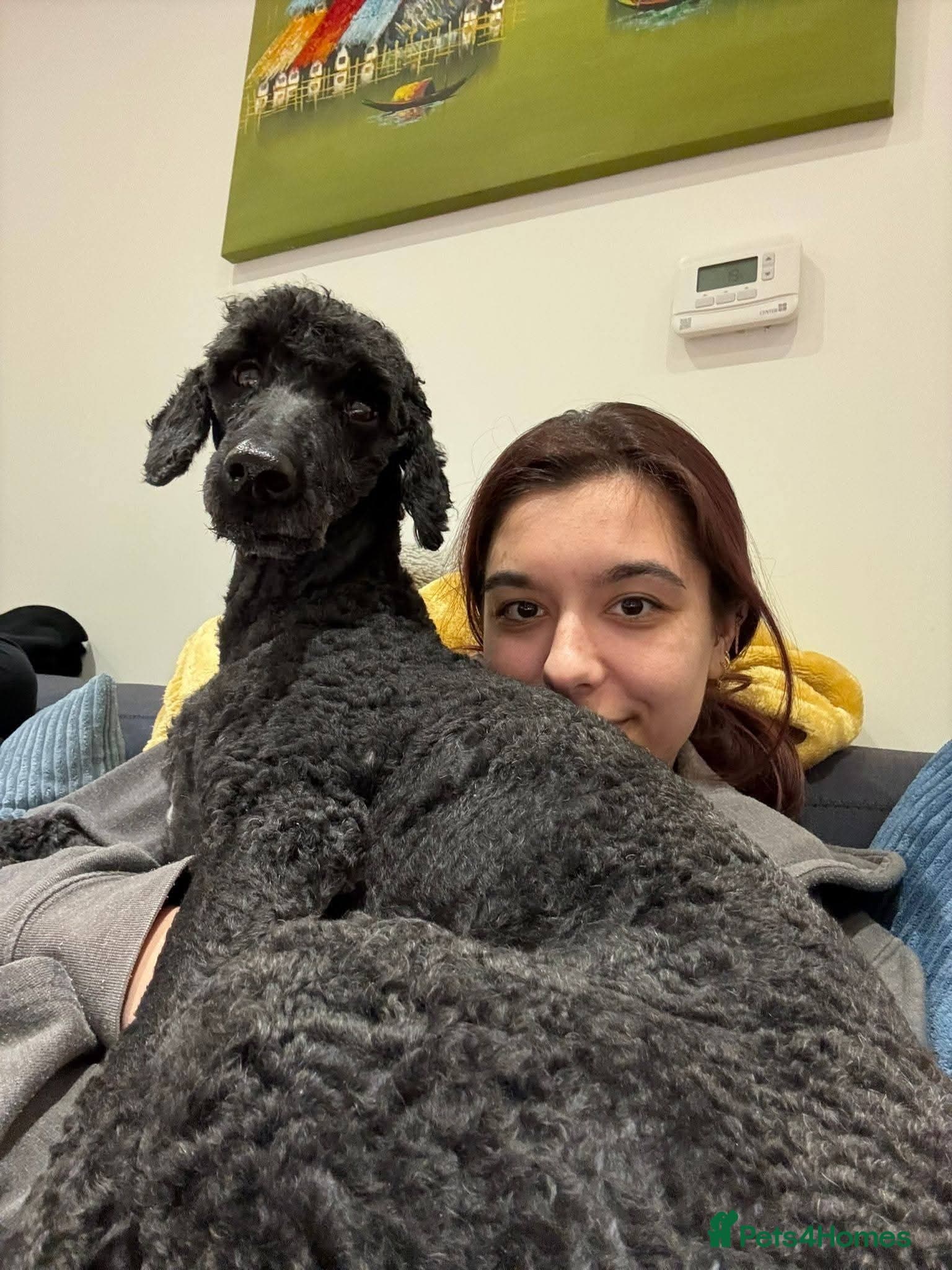 οΈπΆ charlie photo 2