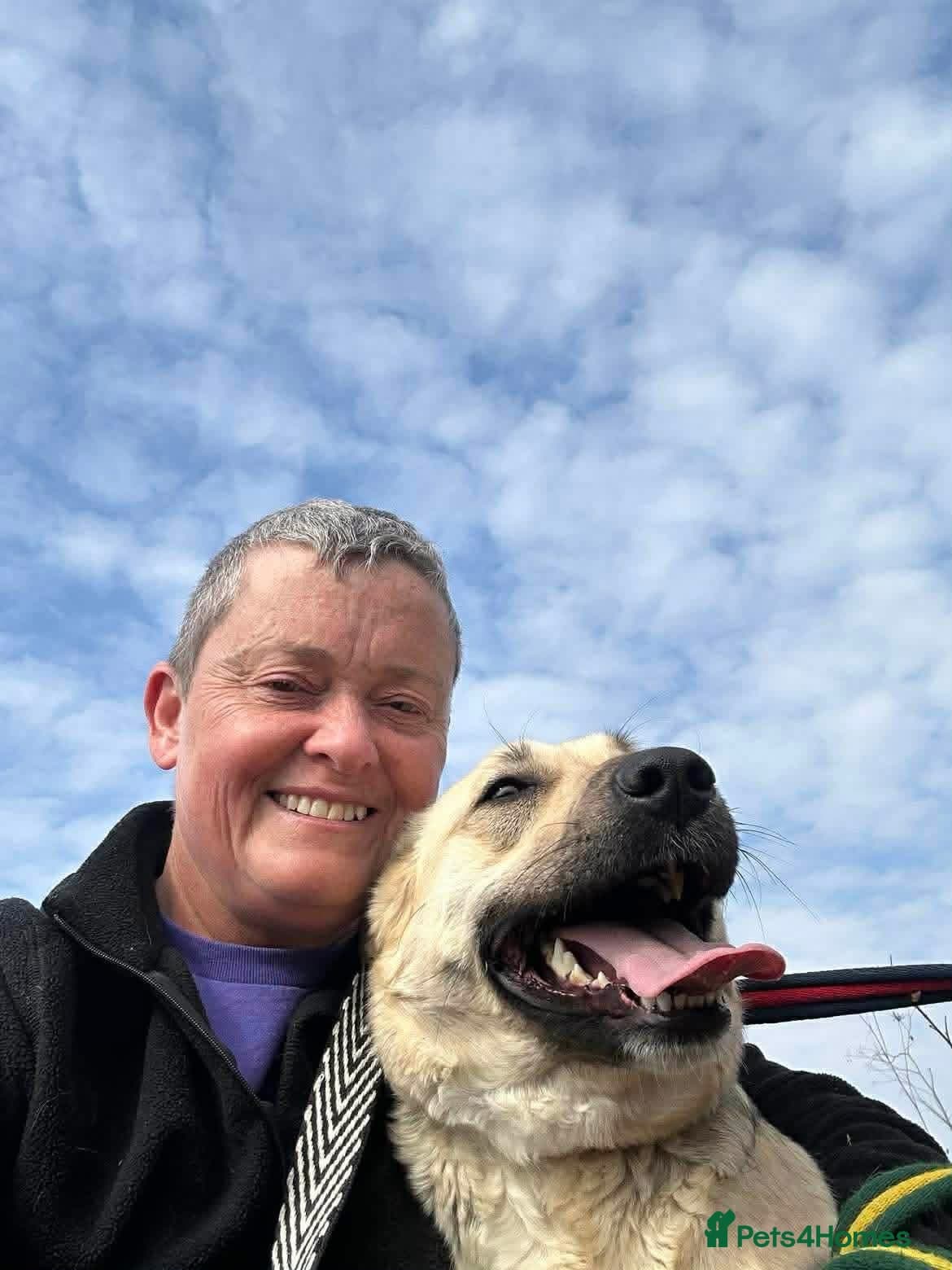 Octavia - Norwich Norfolk photo 3