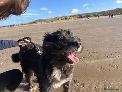 Meet Livi, currently residing in Cheshire photo 11