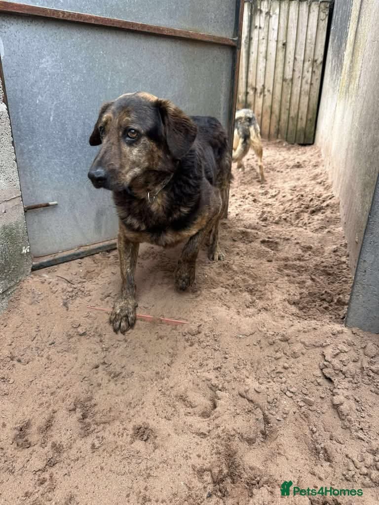 Meet Jess, currently residing in Essex photo 8