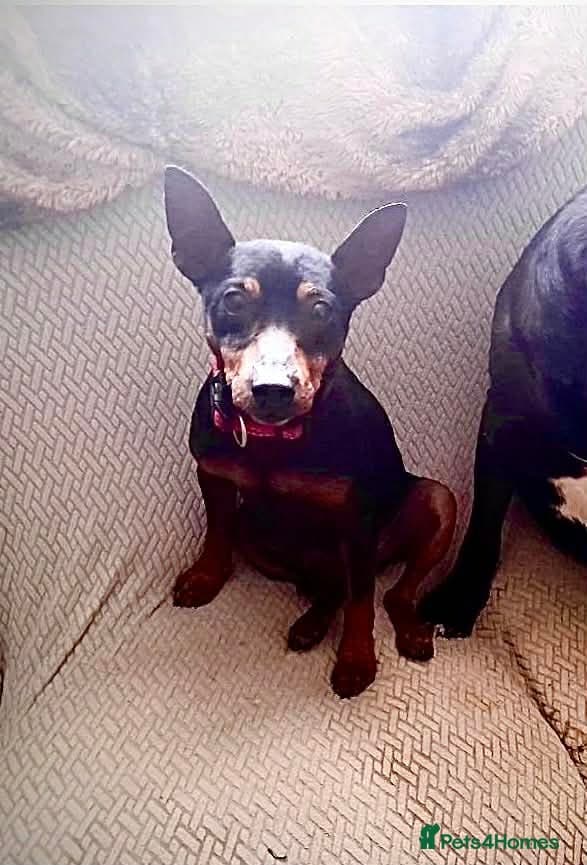 Benetton, a cuddlebug photo 4