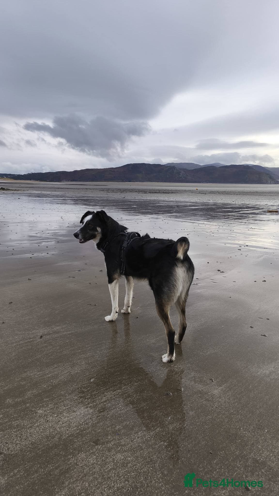 MAXπ Let Down But Still Loving photo 14