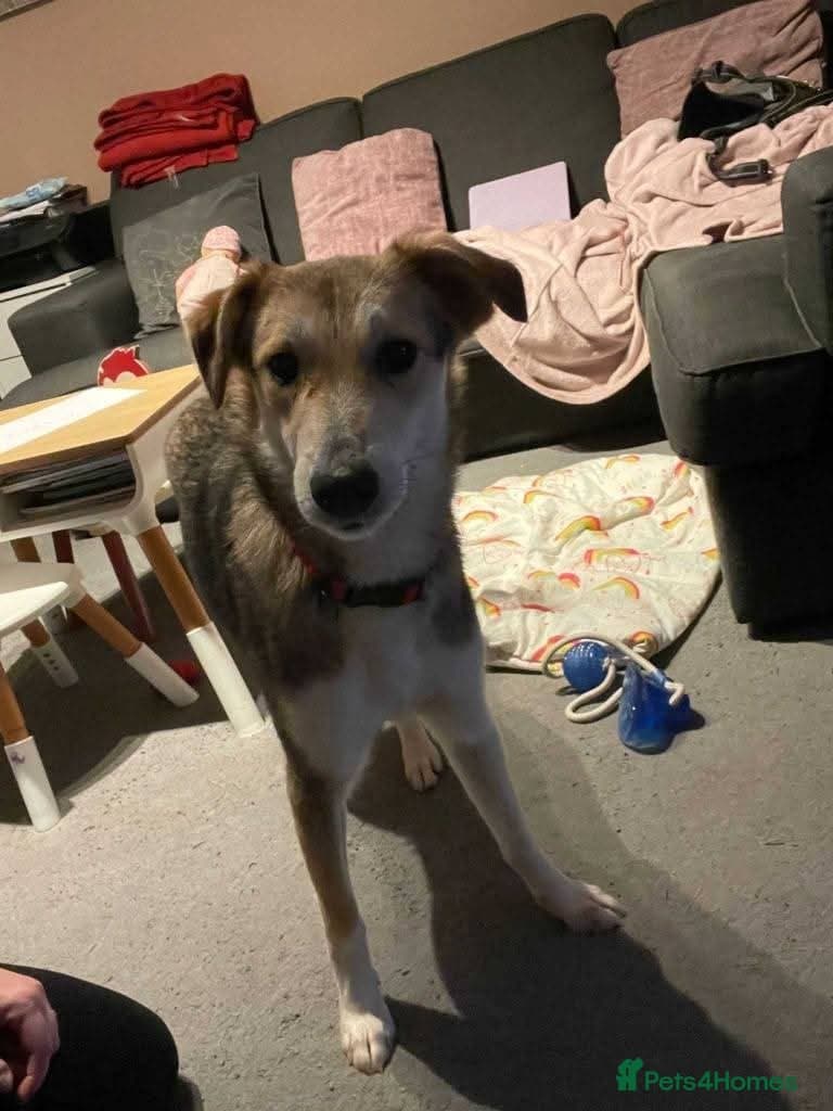 Meet Mary,currently residing in Canterbury photo 6