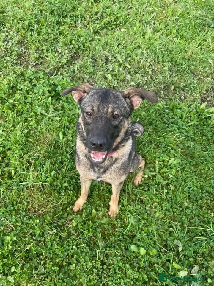 Luna πΎπ photo 10