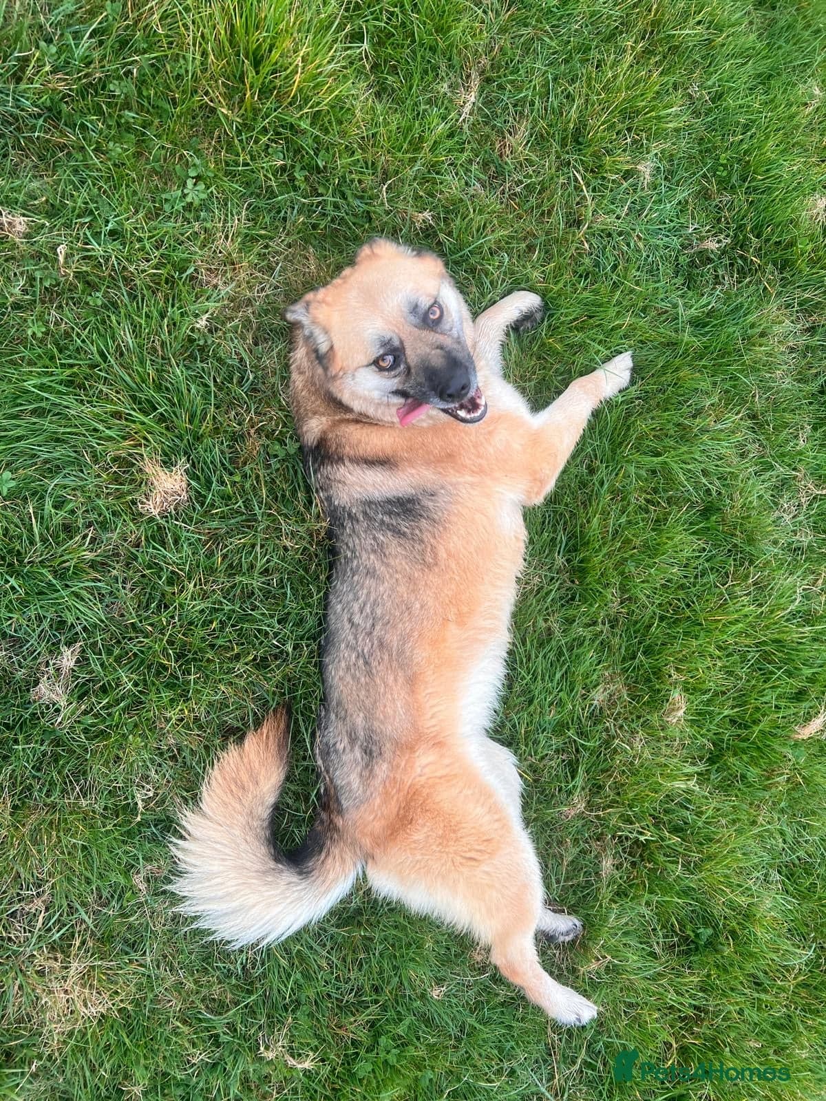 Molly 3.5 years friendly girl photo 6