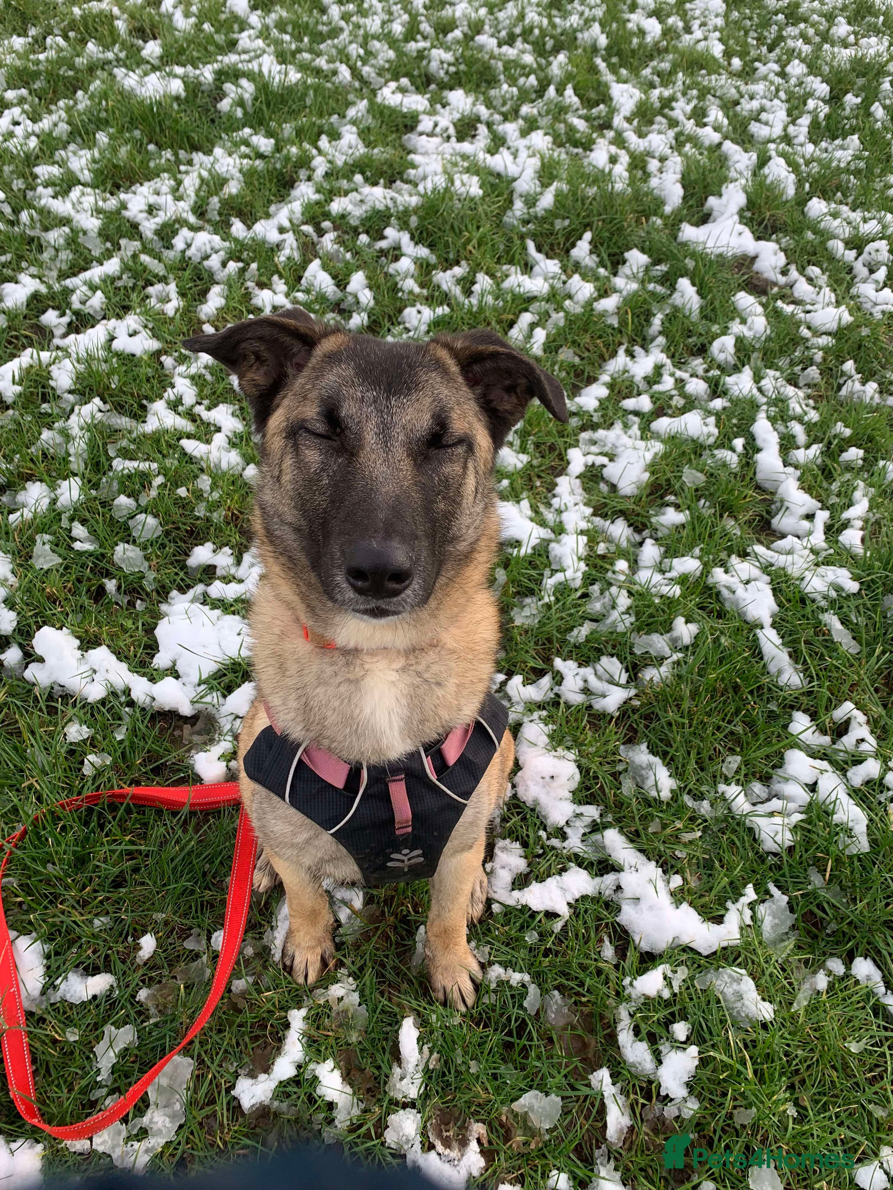 Meet Vera, currently residing in Cheshire photo 2